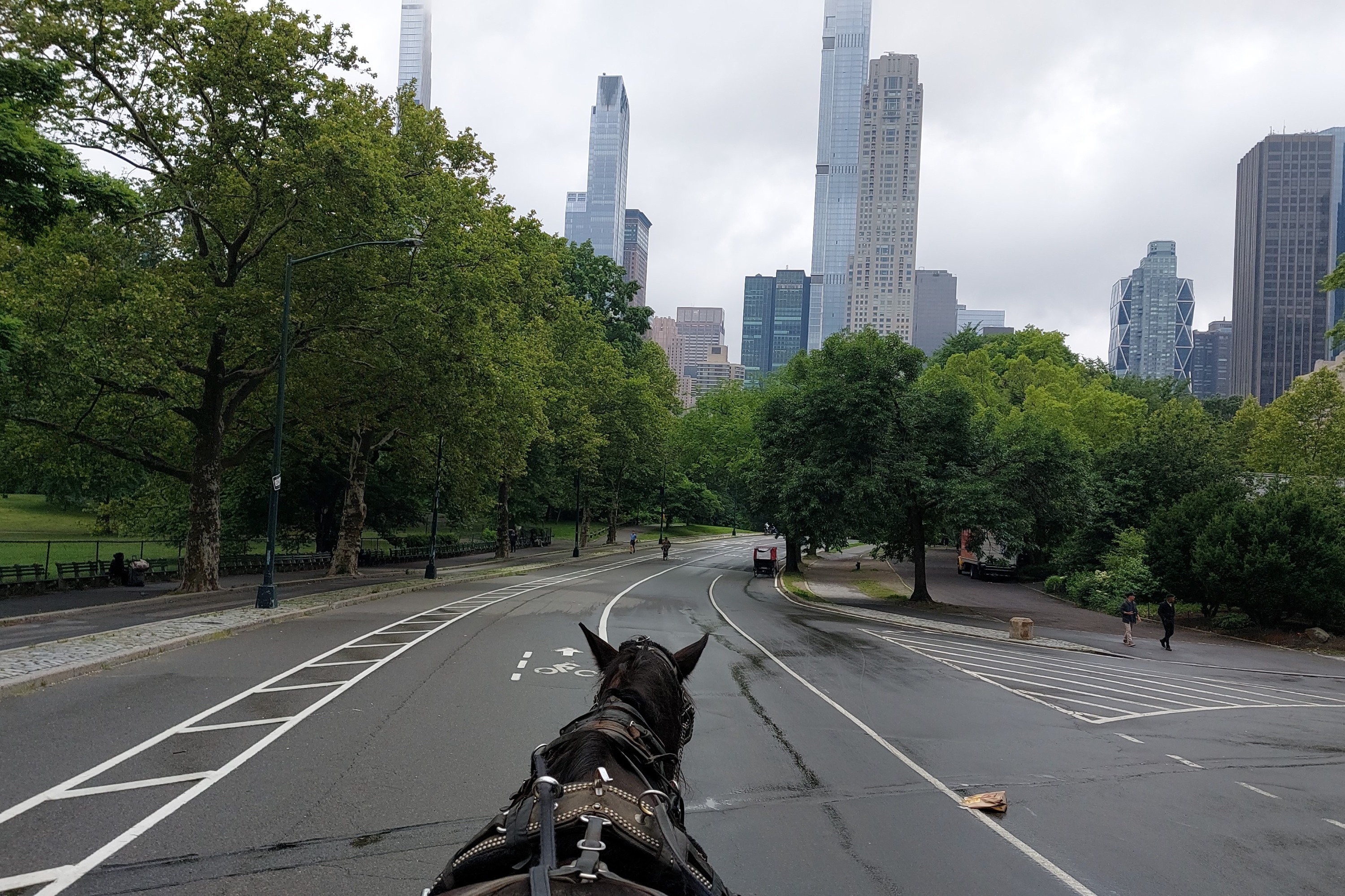 中央公園 - 洛克菲勒中心馬車體驗