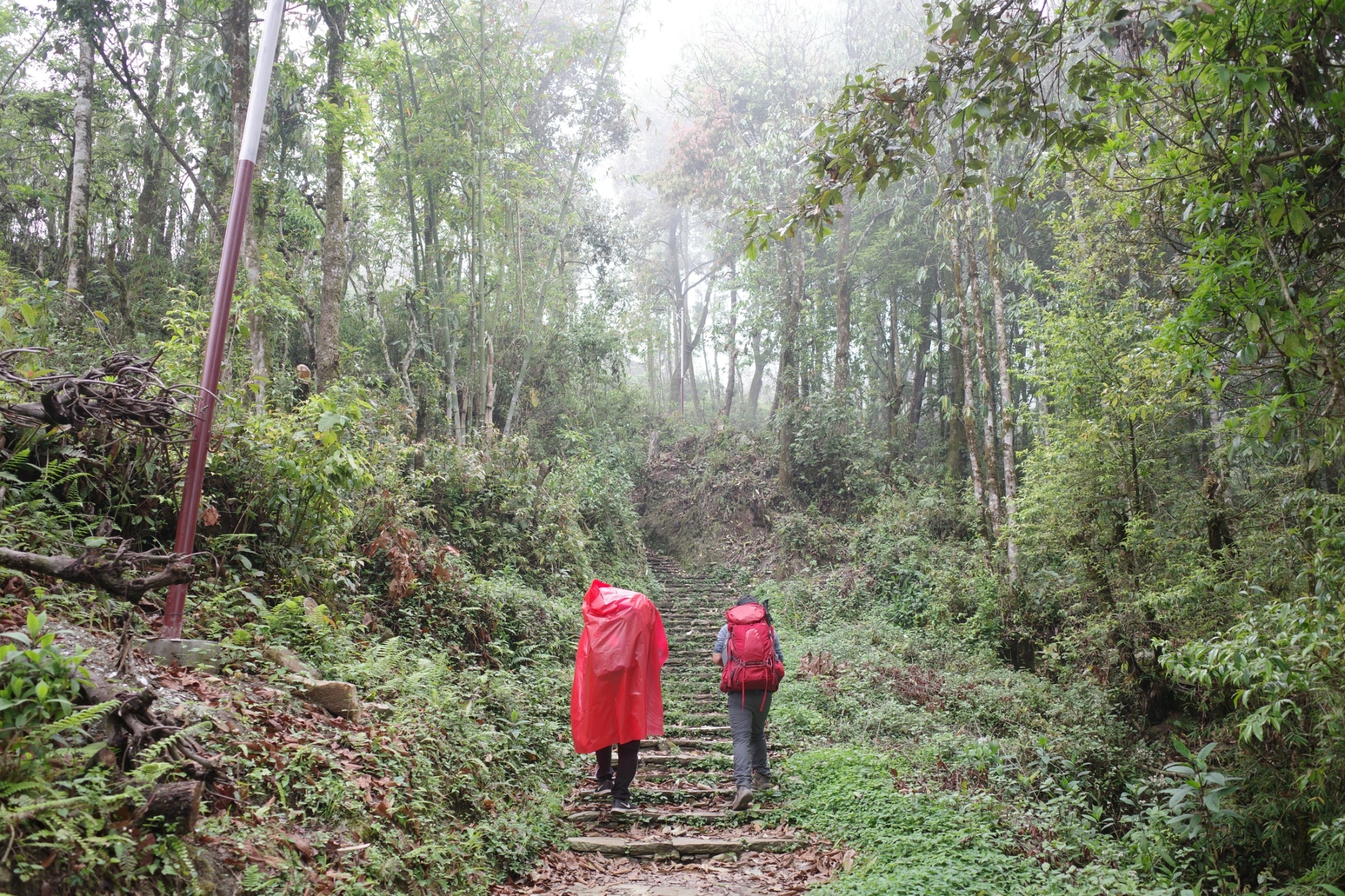 從博卡拉出發：4 天 Mardi Himal 健行