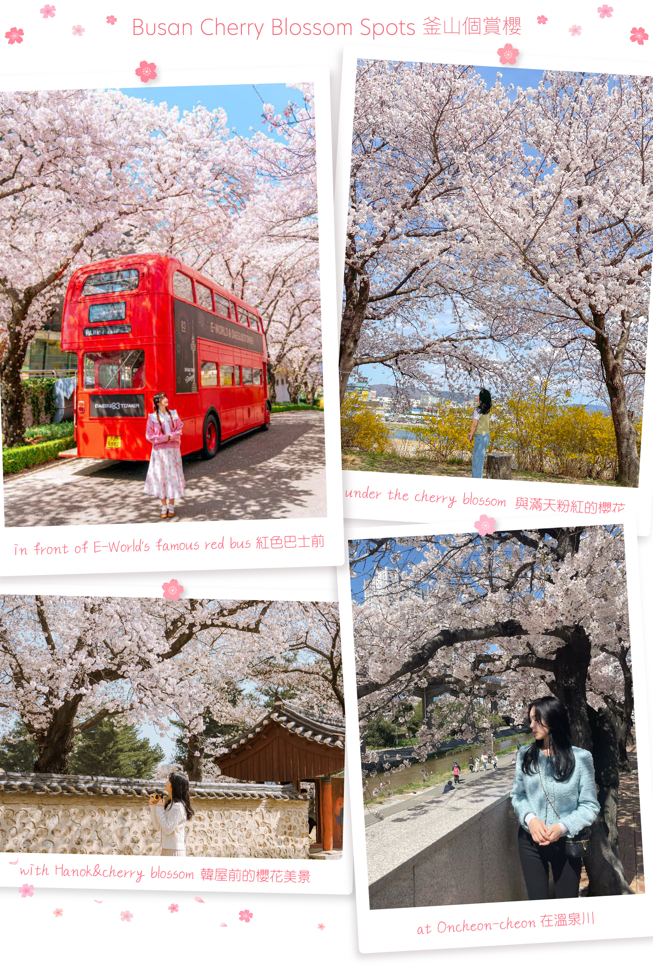 海雲臺天空膠囊列車&追逐櫻花一日遊（釜山出發）