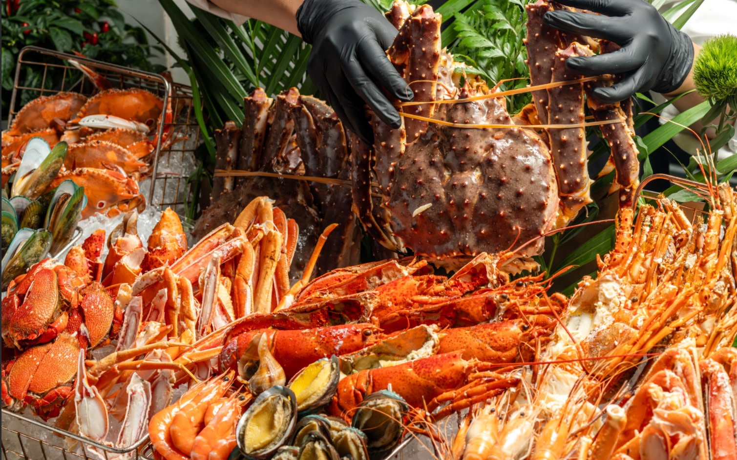 [Buffet Offer] Shenzhen Raffles Hotel Buffet | Buffet Dinner