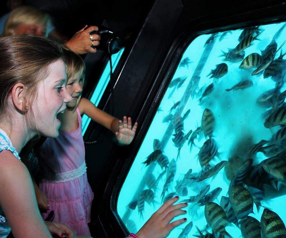 2 Hours Semi Submarine Tour with Transfer – Sharm El Sheikh