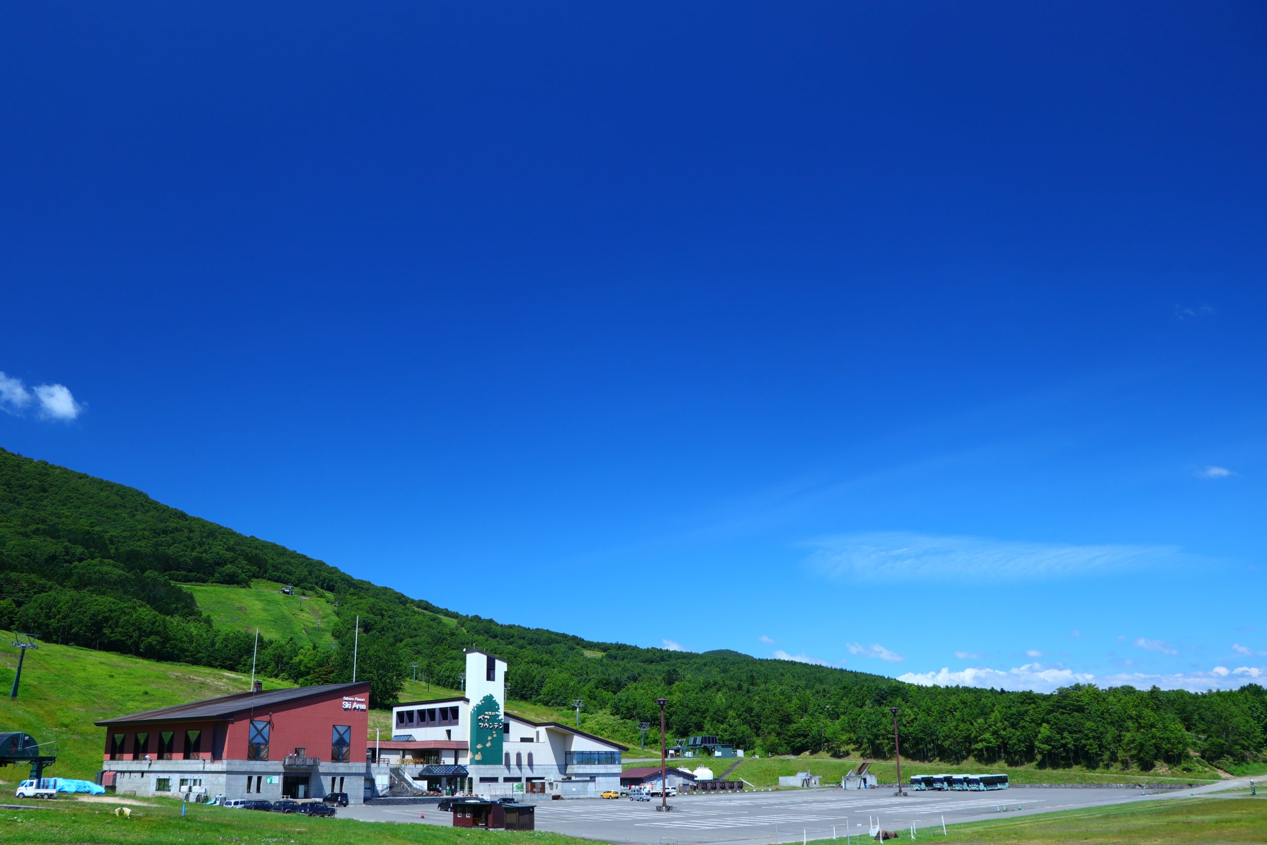 富良野花田 & 佐幌度假村熊山之旅（札幌出發）