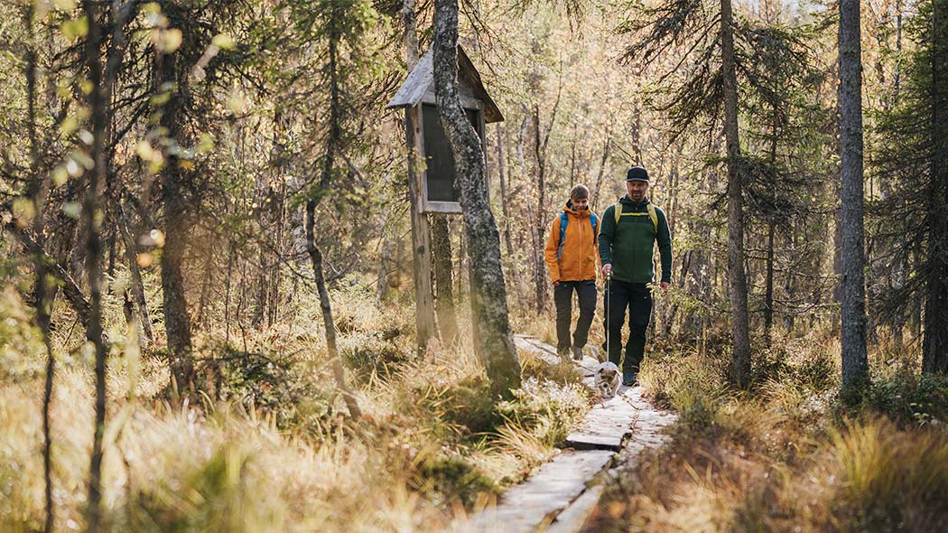 Vikakongas Hiking Experience