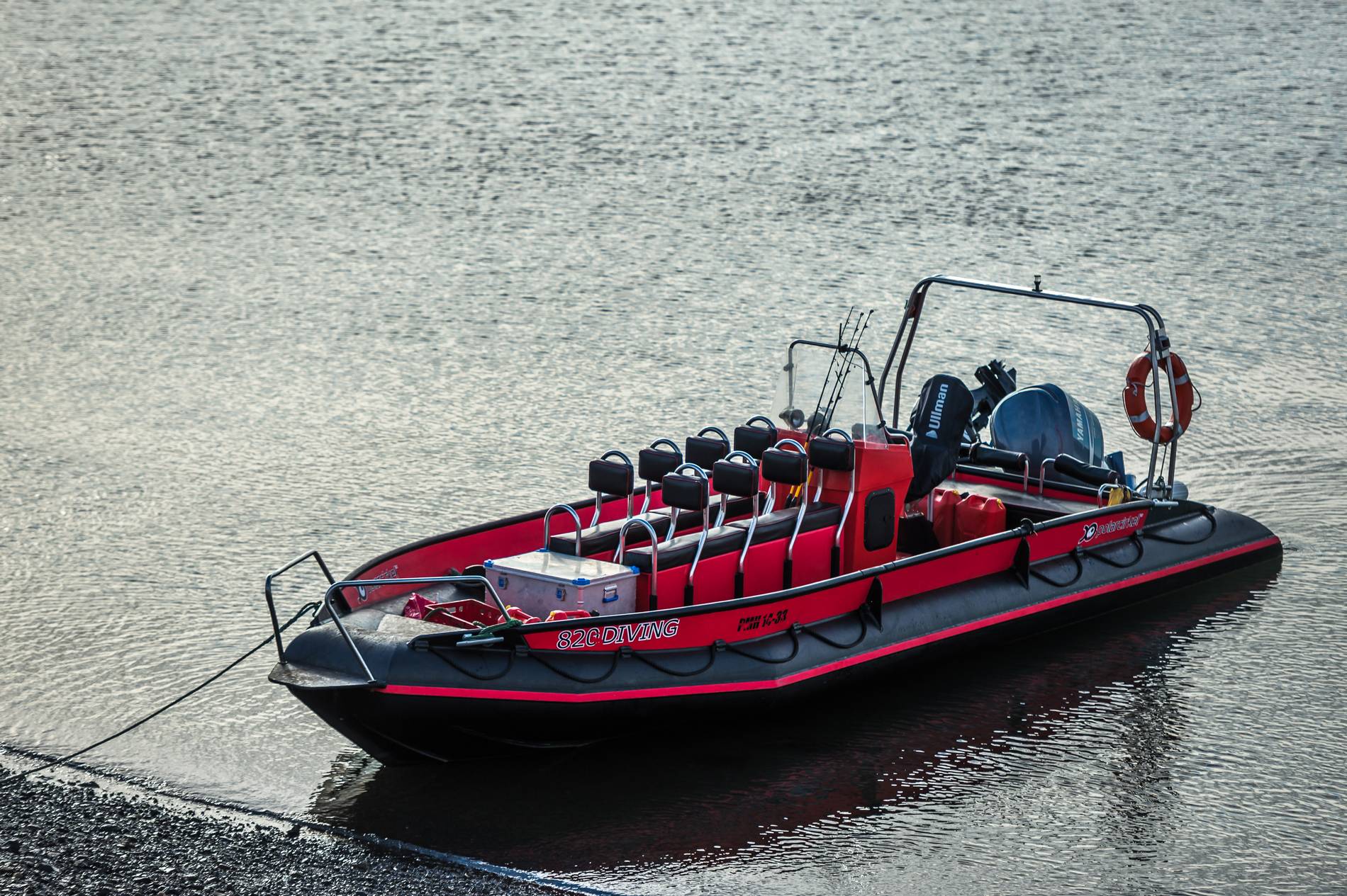 One-Day Arctic Boat Tour: Glaciers and Wildlife of Isfjorden