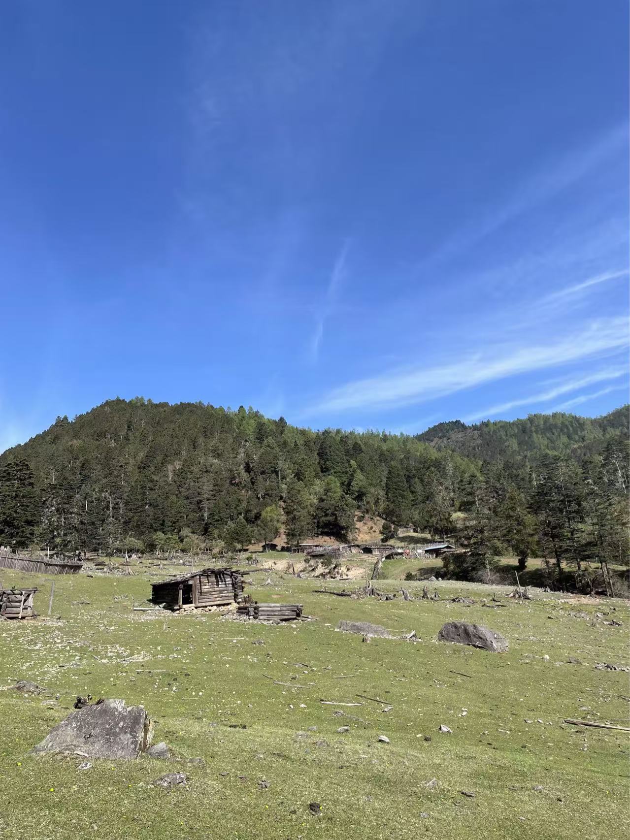 雲南哈巴雪山黑海徒步2日/3日遊（哈巴雪山+哈巴村+蘭花坪+黑海湖+杜鵑谷+虎跳峽高路+2-8人小團）