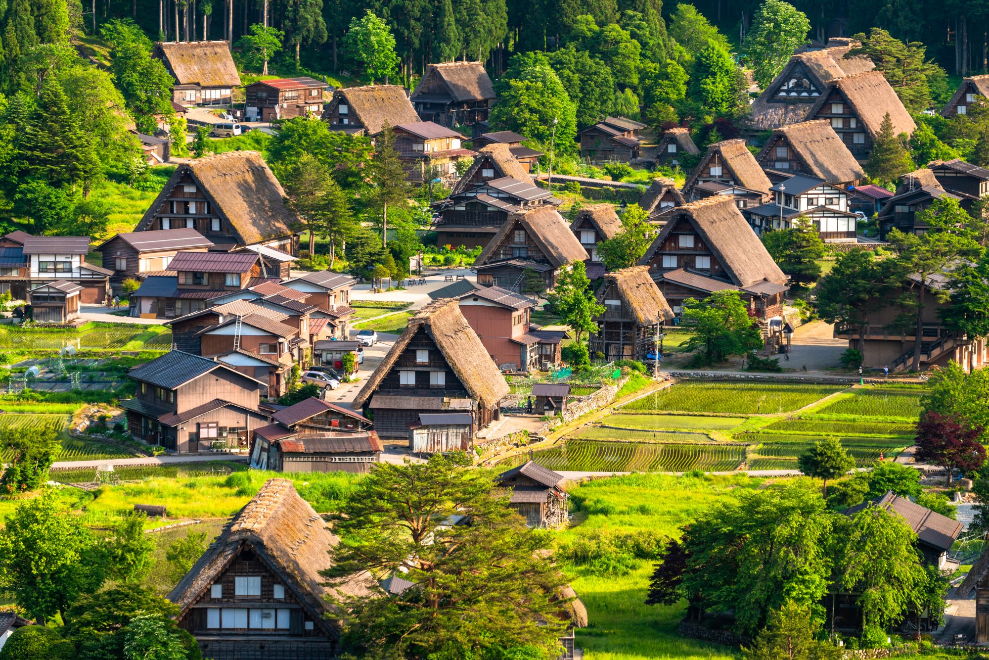 大阪 - 高山高速巴士