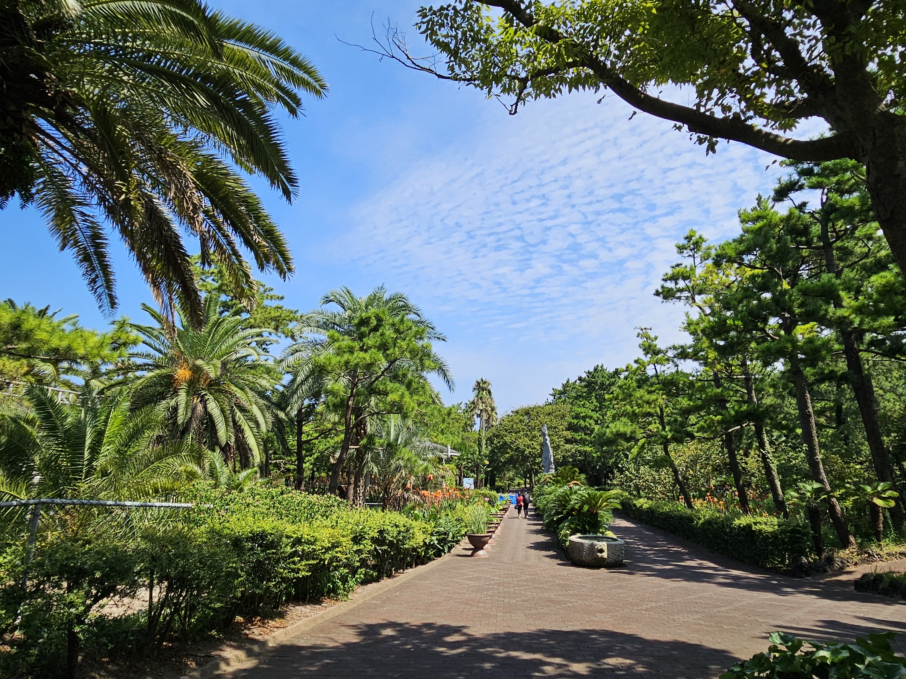 Hallim Park ticket in Jeju