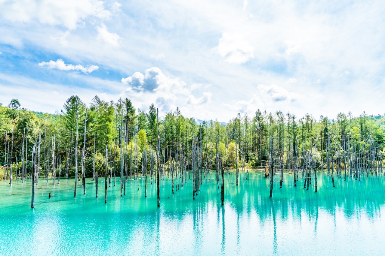 A方案-網紅打卡線