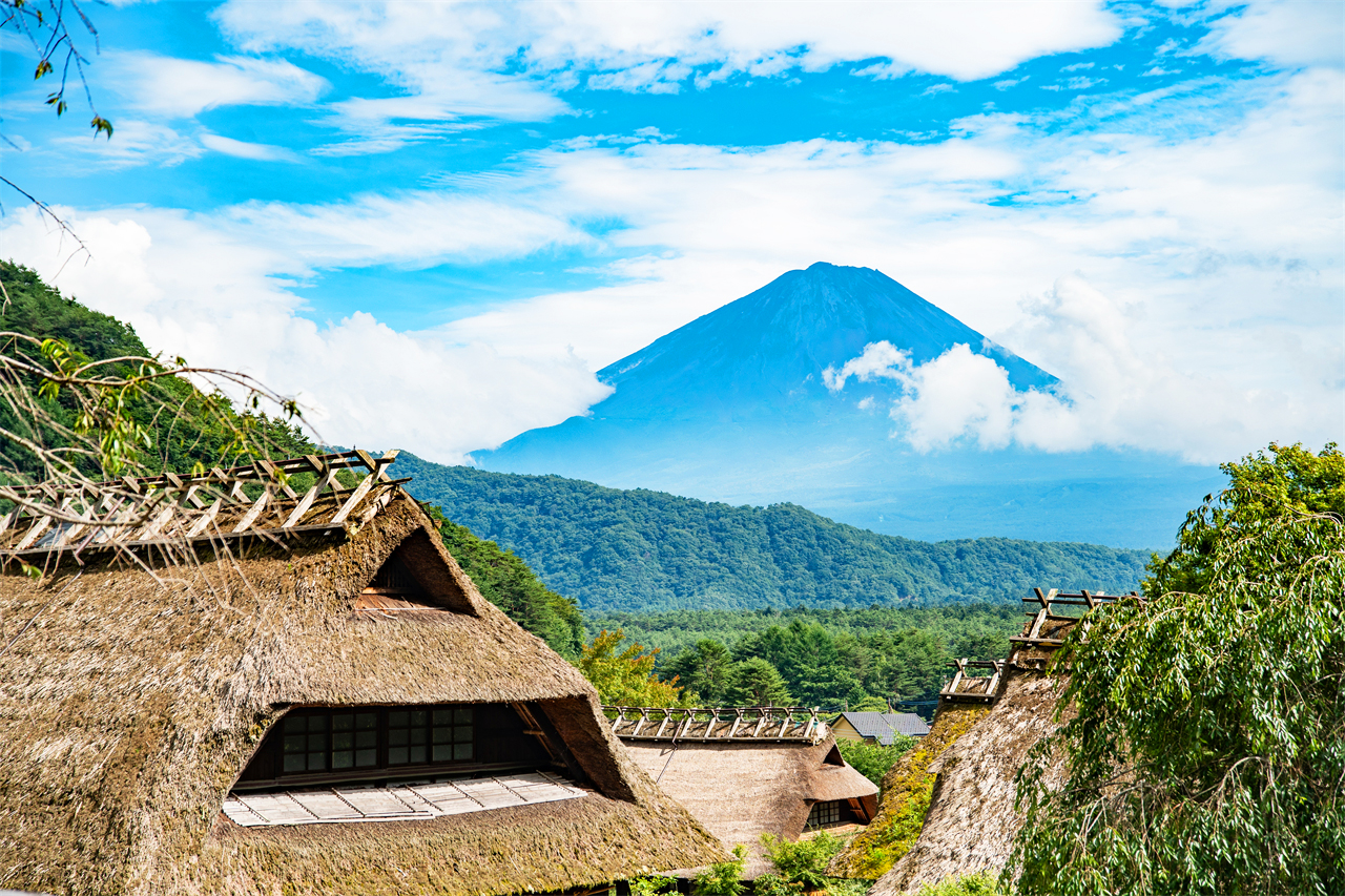 富士山探索之旅-新倉山淺間公園·天梯小鎮·忍野八海·河口湖大石公園·西湖療愈里根場一日遊