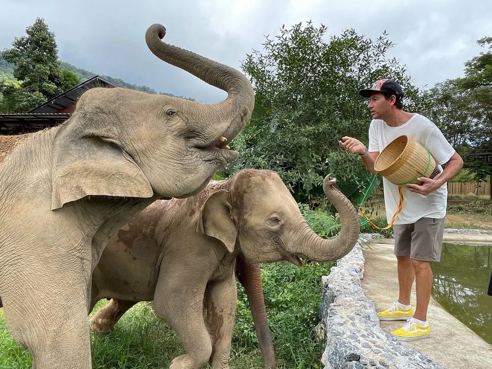 蘇梅島大象王國（Elephant Kingdom）體驗