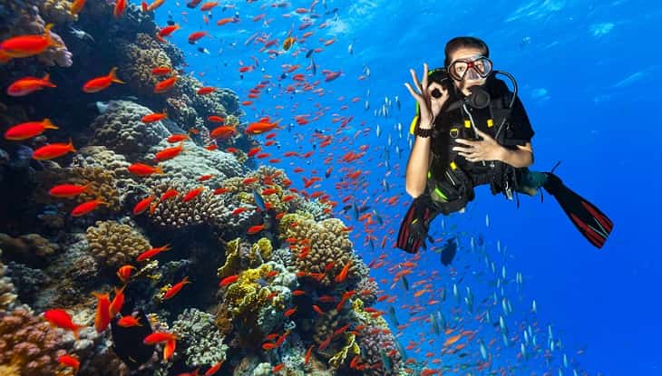 Scuba Diving in Kemer w/Pick Up From Antalya