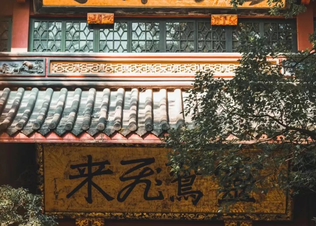 Hangzhou Lingyin Temple Feilai Peak + Aman Ancient Village Stroll + 3H Professional Tour Guide Service