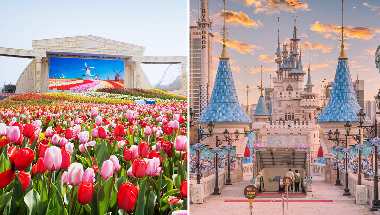 Ultra Theme Park Day Tour: EverLand + Lotte World in One Day