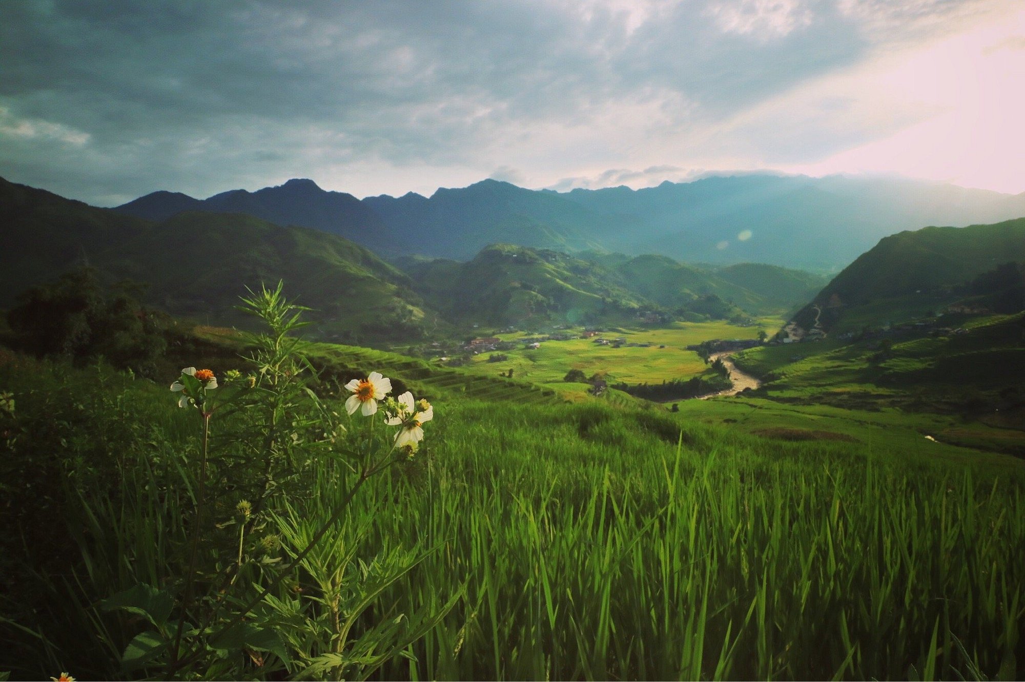 沙巴：紅瑤族草藥足浴和採葉之旅