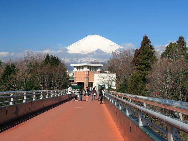 富士山 - 河口湖私人一日遊