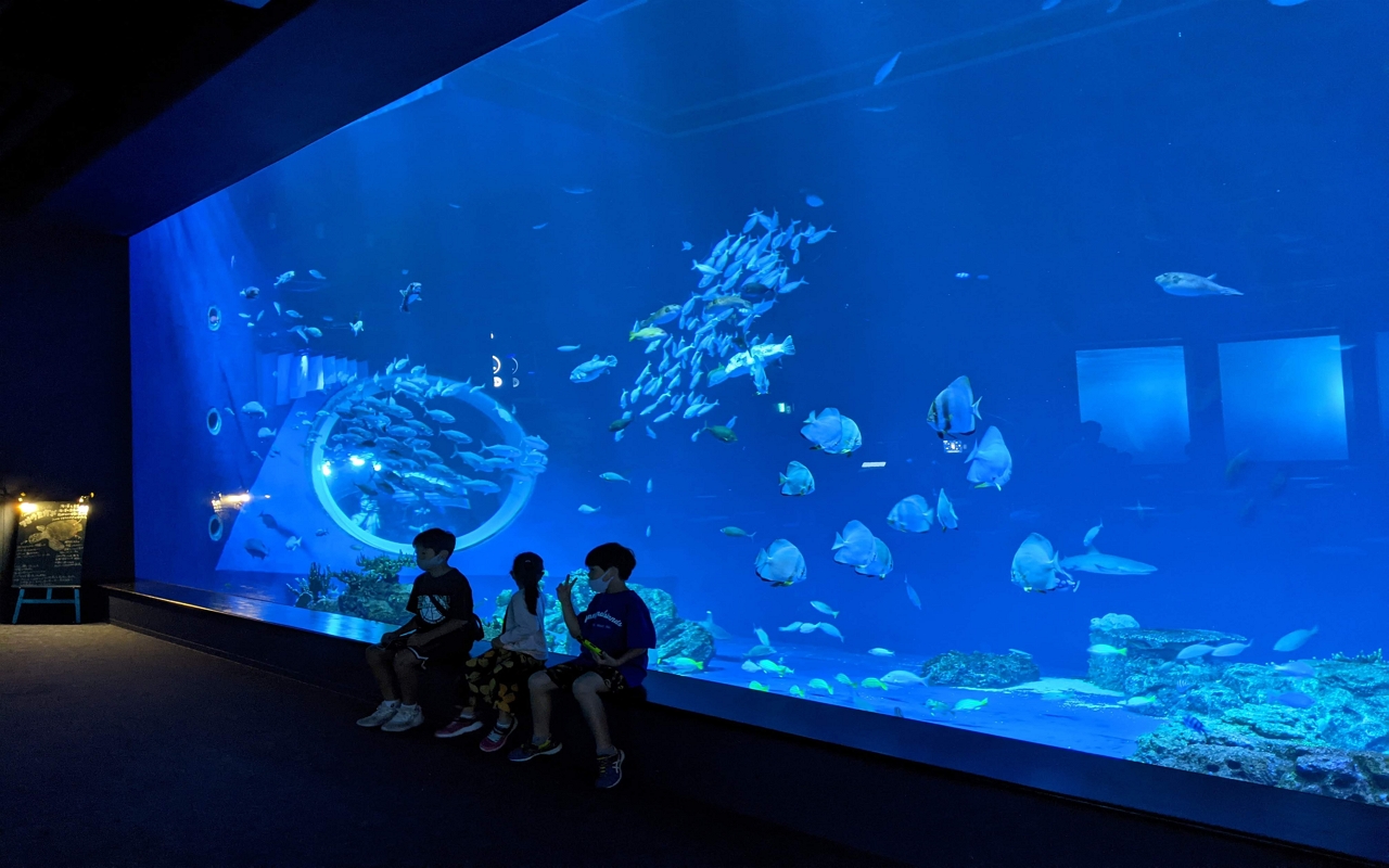沖繩觀光巴士南北路線1日遊: 玉泉洞, DMM水族館, 瀨長島 & 萬座毛, 美麗海水族館, 美國村