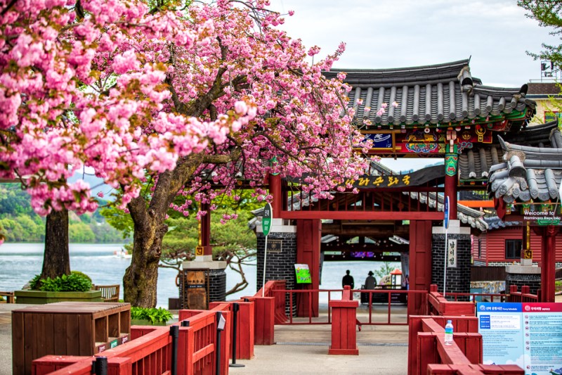 四季皆美的自然風景。一年四季都能欣賞不同魅力：春天繽紛花海、夏日翠綠森林、秋季火紅楓葉，以及冬季如夢似幻的雪景。