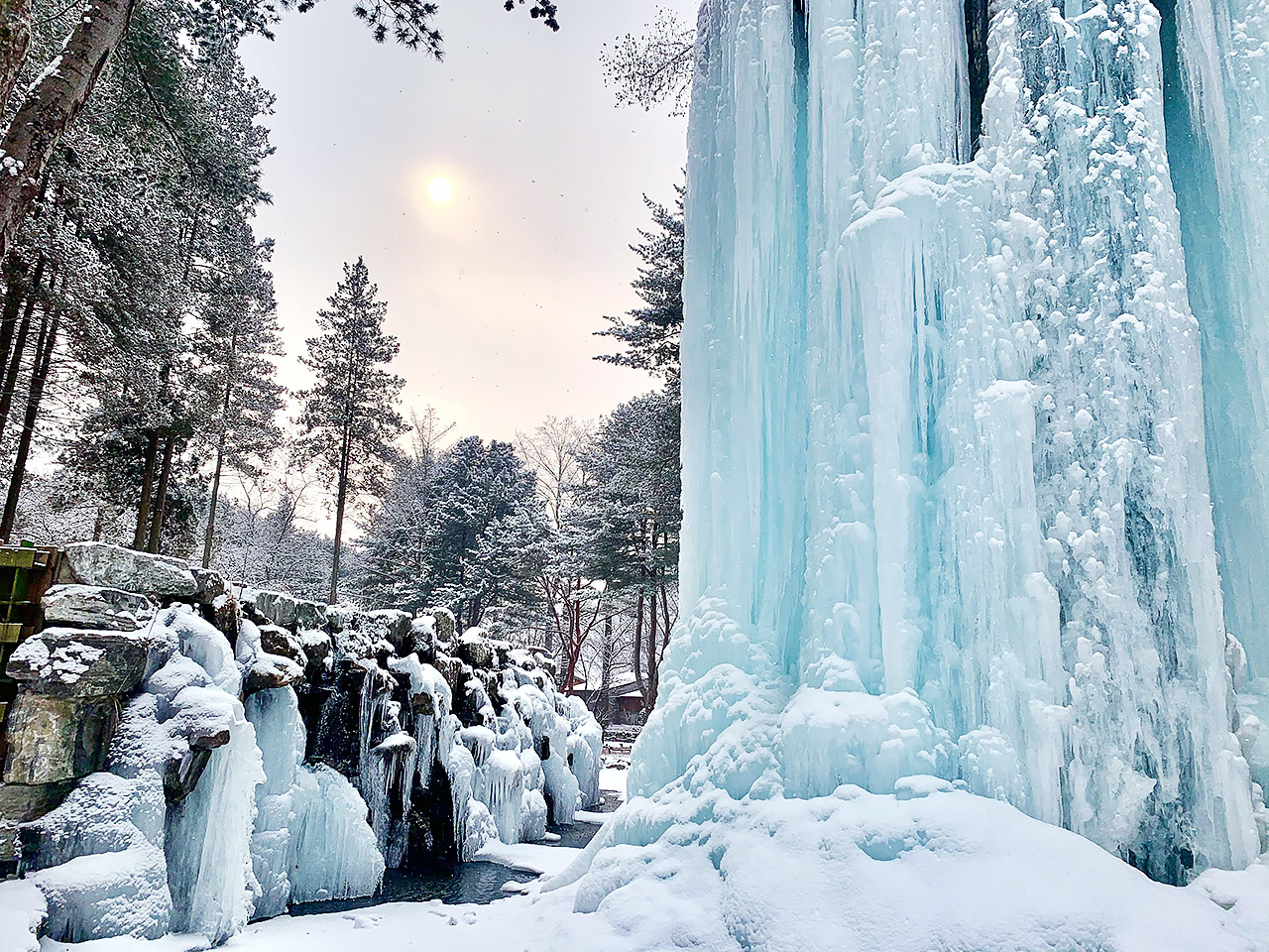 冬季的南怡島,白雪皚皚,宛如童話世界。 冬季的南怡島,白雪皚皚,宛如童話世界。