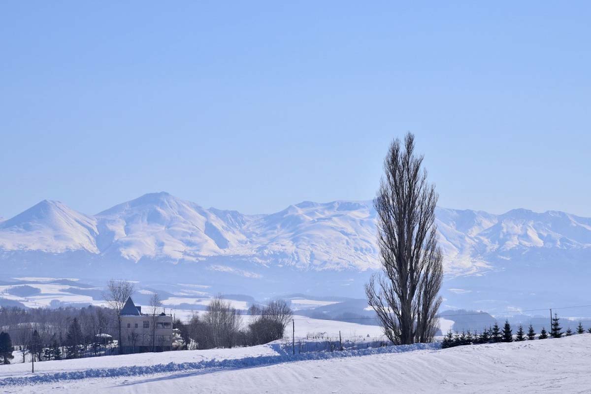 孤獨挺立在廣闊丘陵間，極具畫面感。