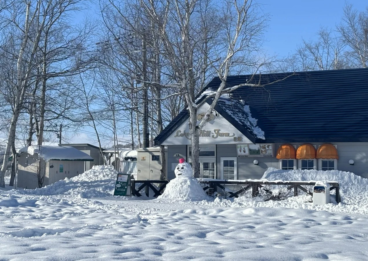 農場裡四季景色豐富，夏季有花海與草地，冬季被雪覆蓋，餵食小羊或小兔子，享受輕鬆親近自然的溫暖時光。