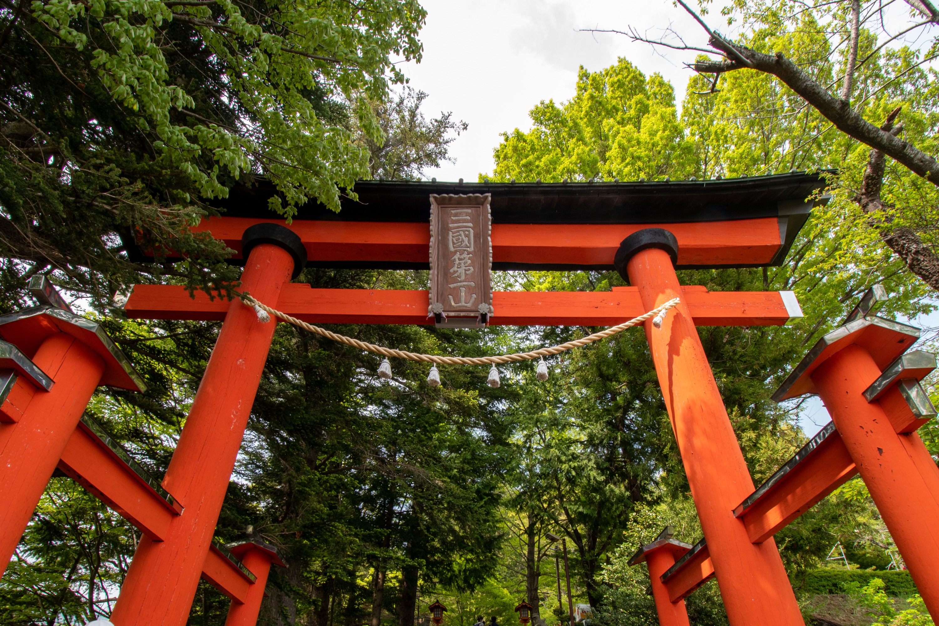 富士山四大名勝景點一日遊（東京出發)