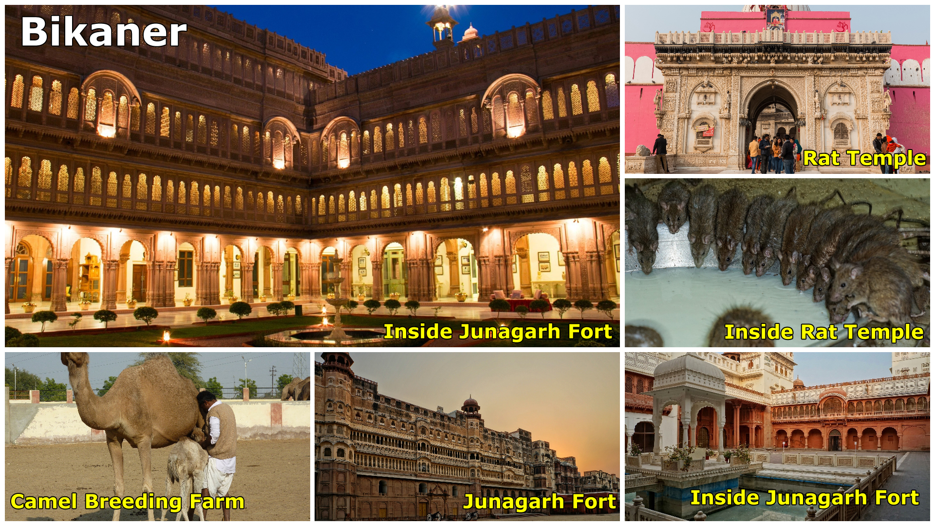 11- Days Rajasthan Tour in Jaipur Udaipur Jodhpur Jaisalmer &Bikaner