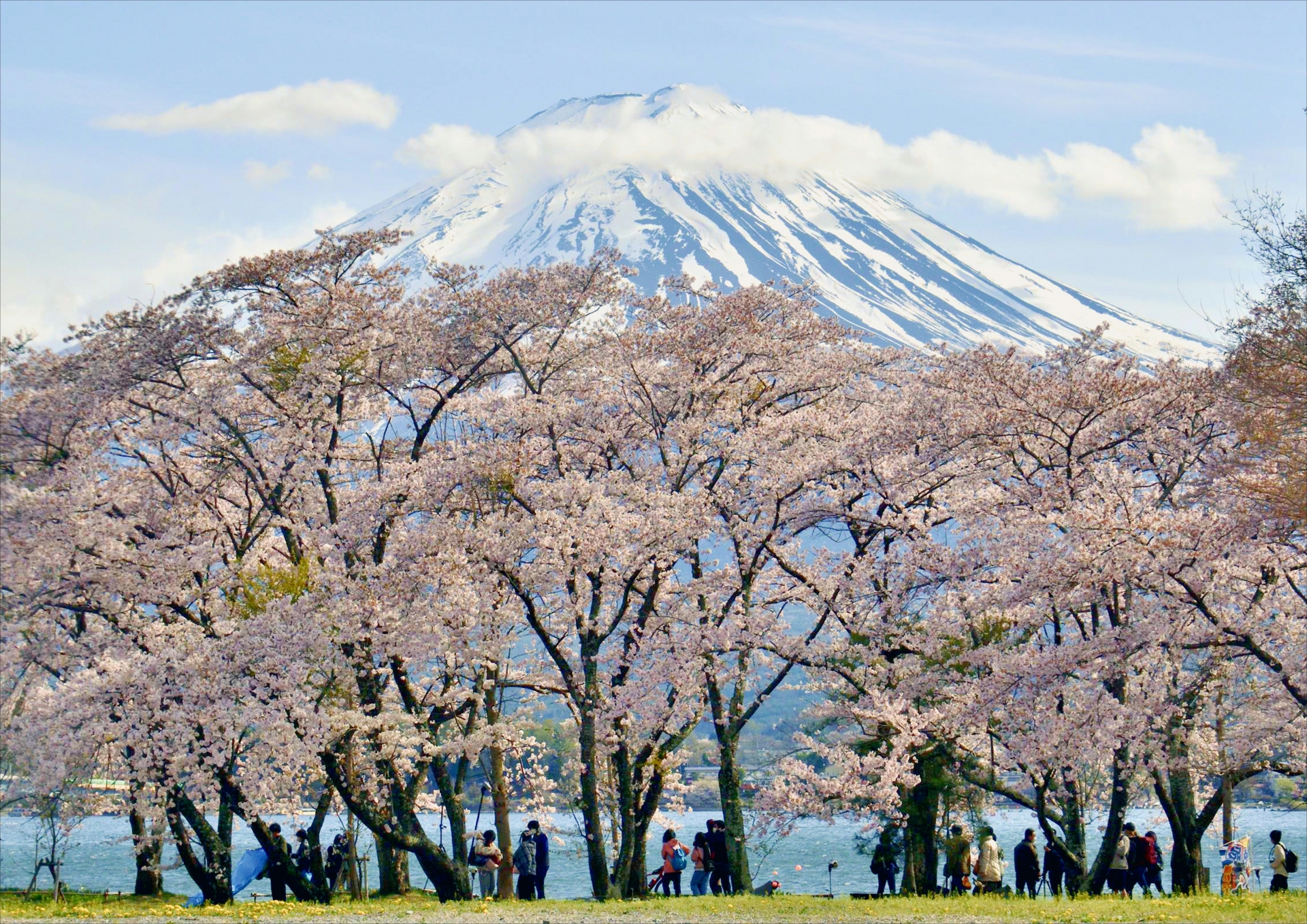 富士山×箱根打卡聖地 多方案一日遊