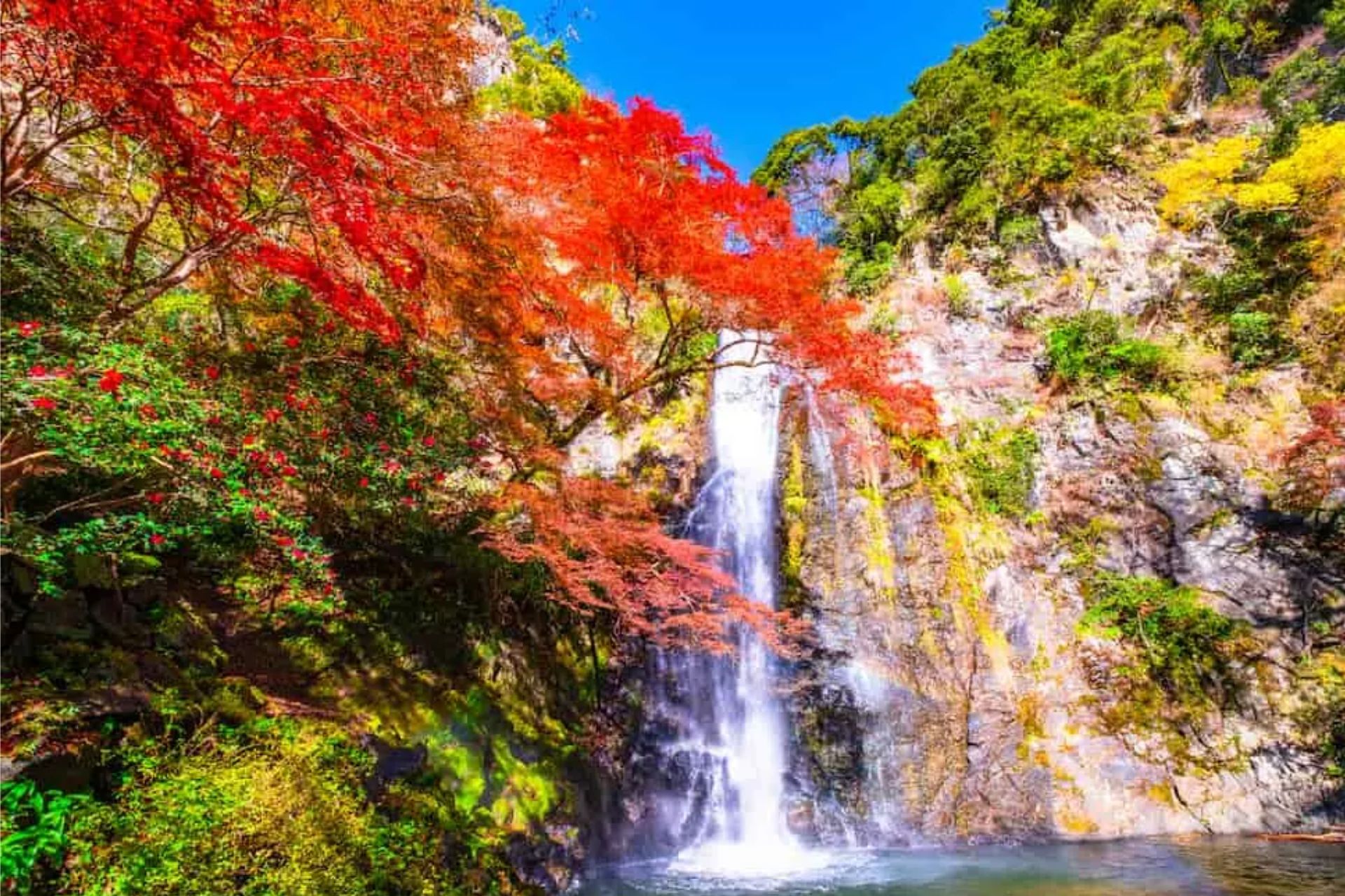 【大阪打卡熱點】勝尾寺 x 箕面瀑布 x 嵐山竹林 x 東大寺一日遊
