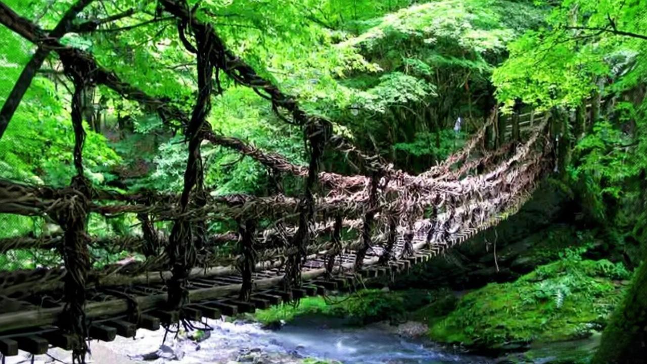 空中蔓影-祖谷溪藤橋(いやのかずらばし) 空中蔓影-祖谷溪藤橋(いやのかずらばし)