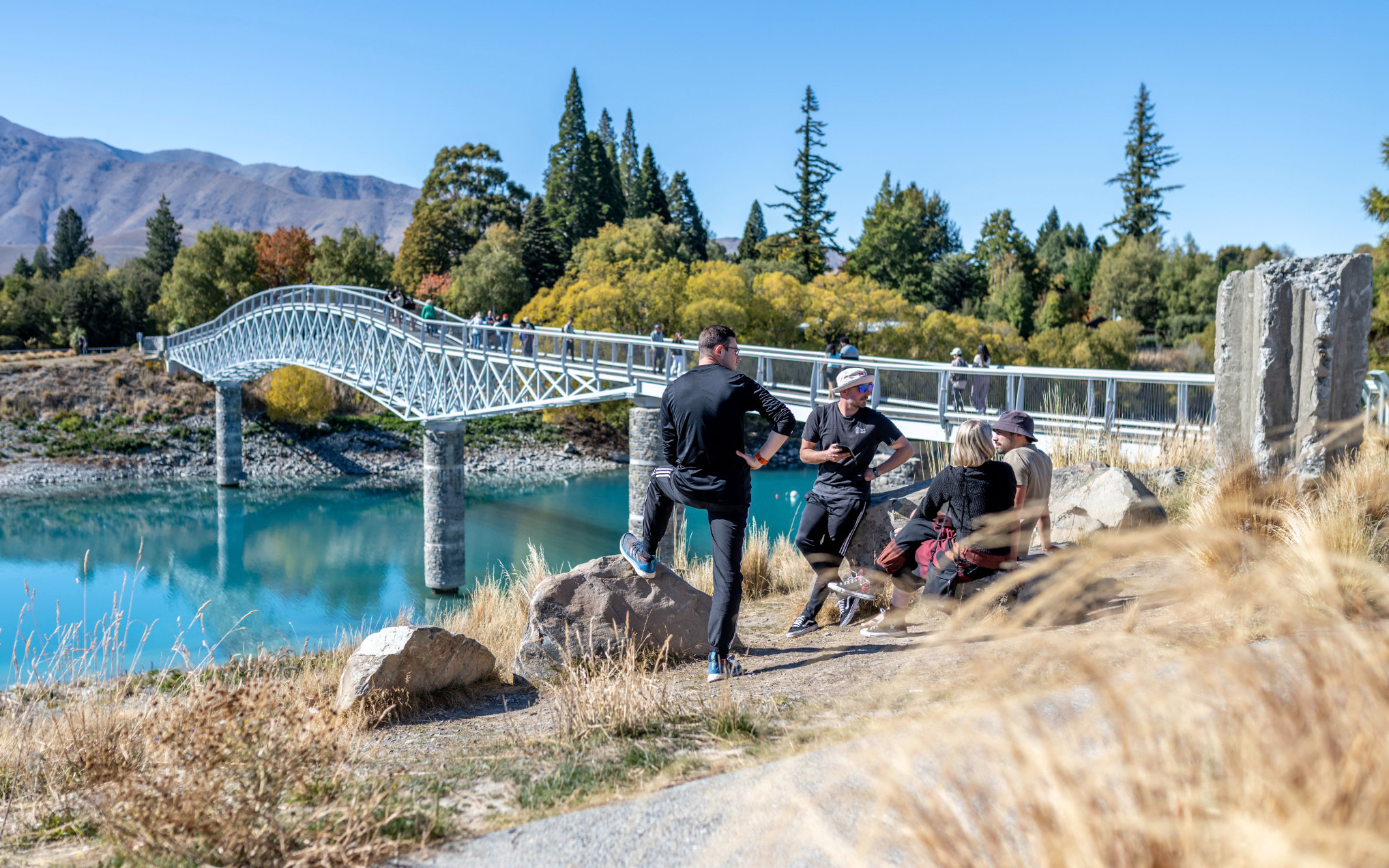 Mt Cook Day Tour Via Lake Tekapo From Christchurch