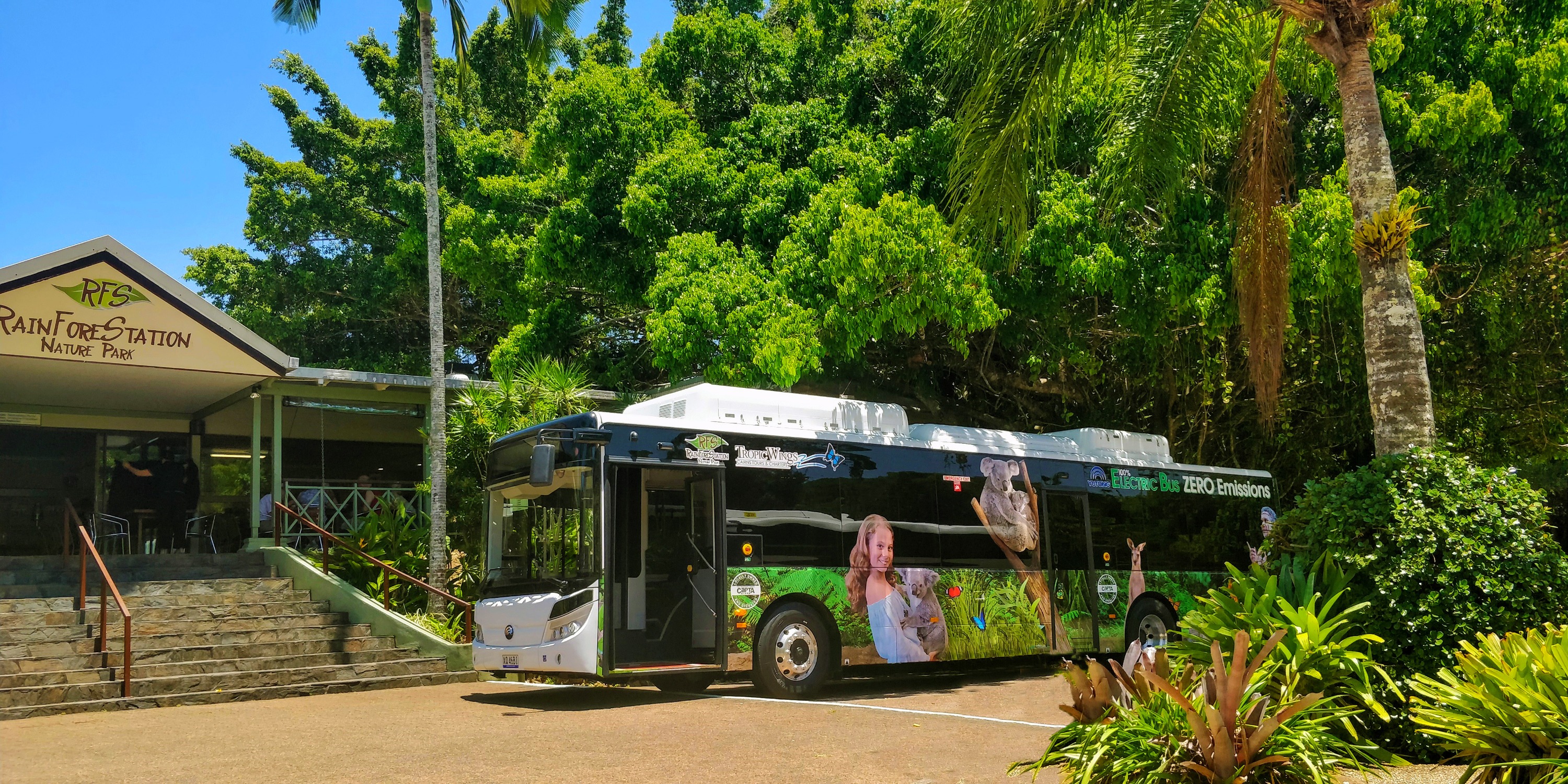 bus ransfer