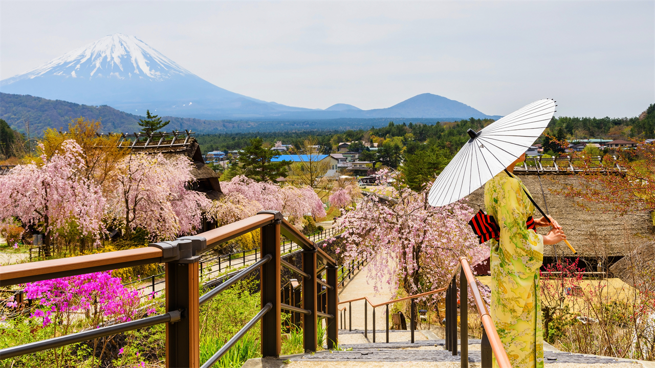 富士山一日遊 網紅打卡景點 | 新倉山淺間公園、西湖療愈之里根場、忍野八海、河口湖大石公園 | 隨機贈送好運信物 （東京出發）