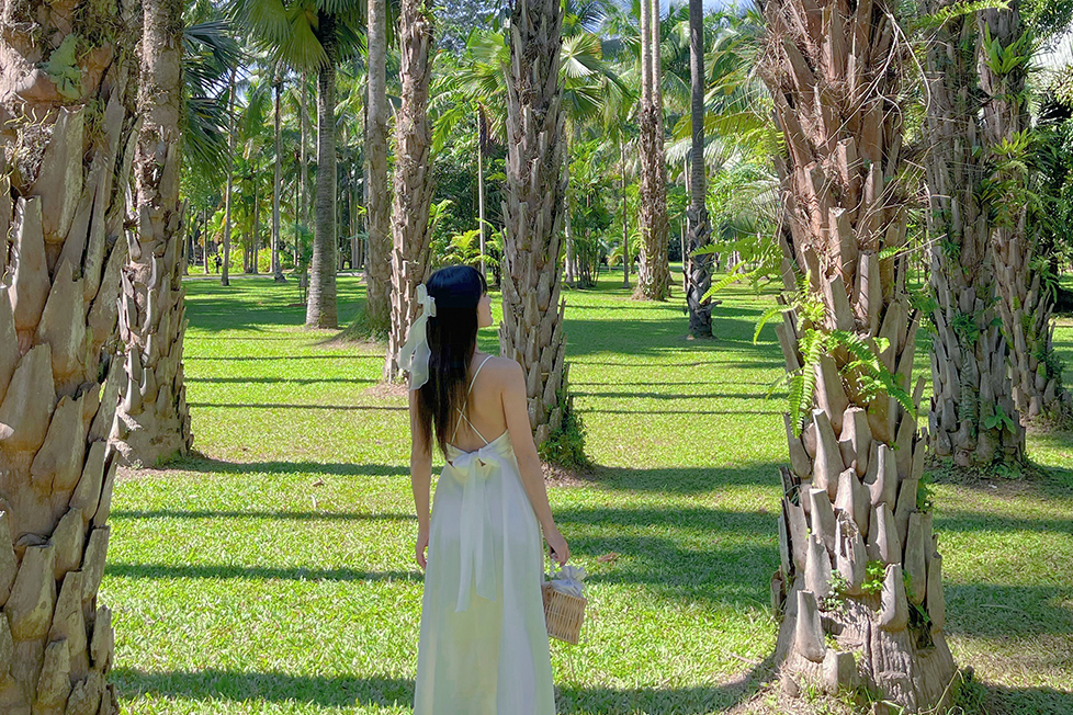 5-Day Wild Trip to Xishuangbanna, Yunnan