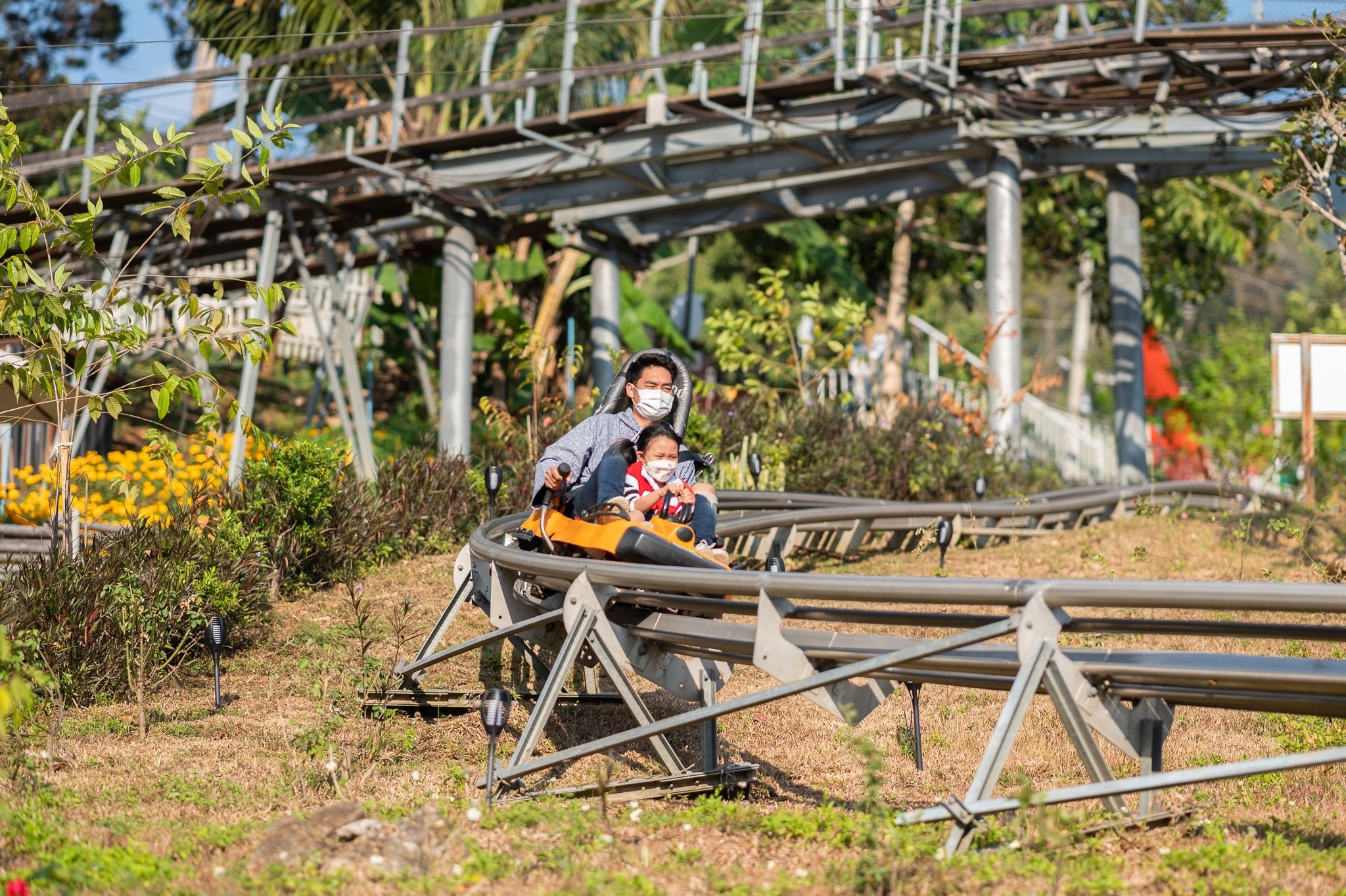 蓬陽叢林過山車 & 滑索