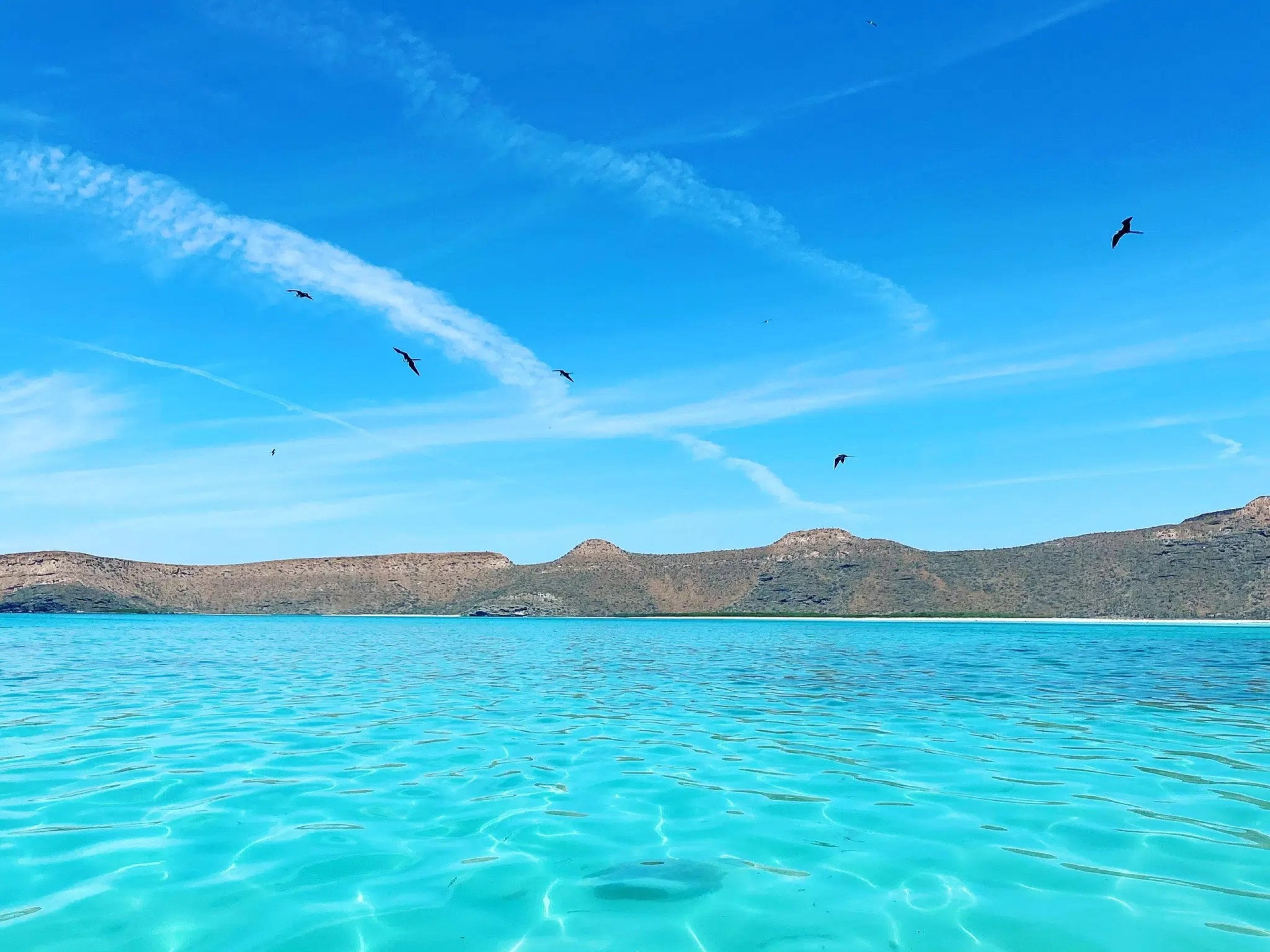 Cruise crystal-clear waters and discover the magic of Isla del Espíritu Santo