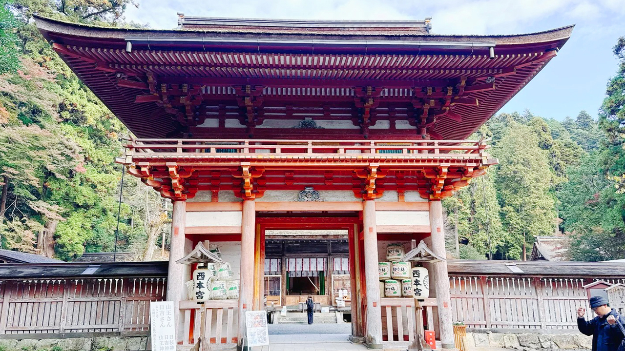 比叡山日吉大社的硃紅樓門在古木掩映下格外莊重,作為山王信仰的總本宮,這裡不僅是重要的文化遺產,其依山而建的參道與古樸建築,也讓每一次參拜都彷彿穿越回千年之前。 比叡山日吉大社的硃紅樓門在古木掩映下格外莊重,作為山王信仰的總本宮,這裡不僅是重要的文化遺產,其依山而建的參道與古樸建築,也讓每一次參拜都彷彿穿越回千年之前。