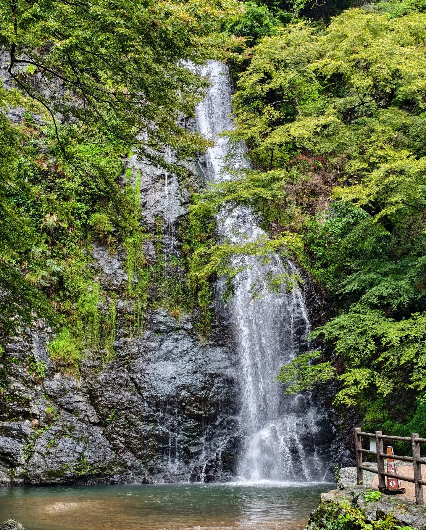 瀑布從33米高處傾瀉而下，周圍新綠環繞，夏季清幽，秋季則紅葉映水。沿步道前行，還可偶遇野生猴子。