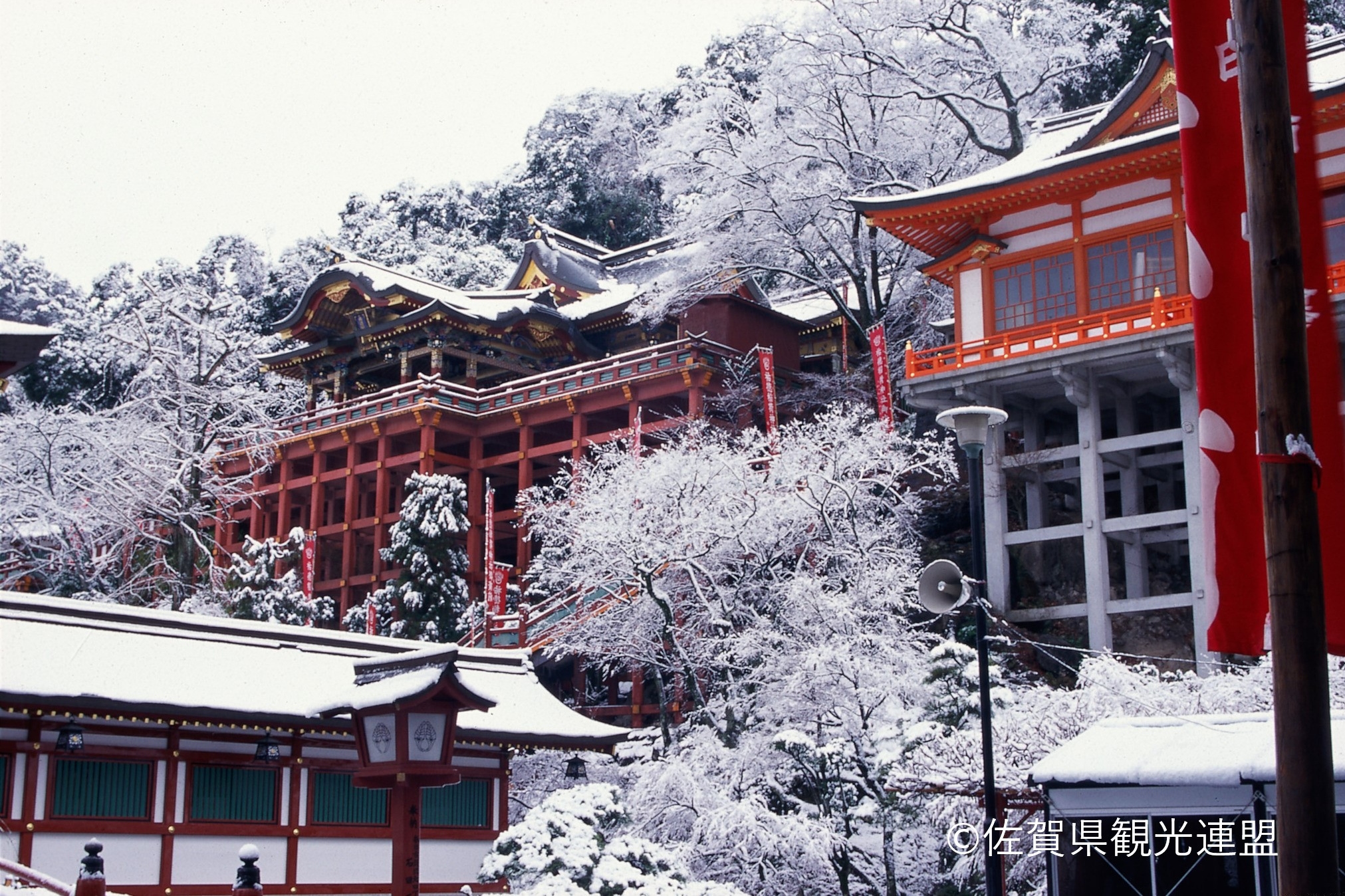 長崎｜祐德稻荷神社＆長崎原爆資料館＆稻佐山公園一日遊｜福岡出發