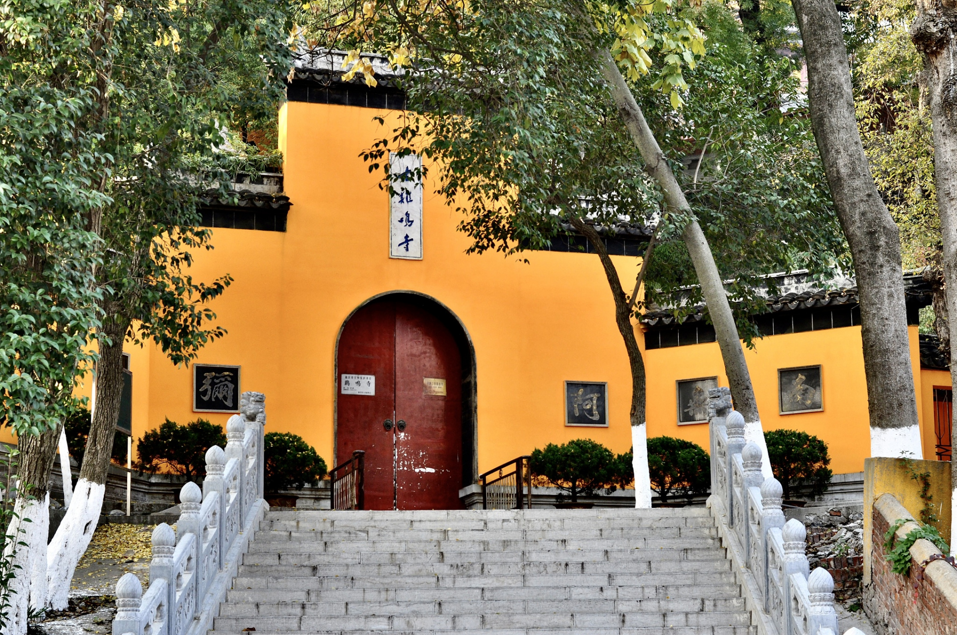 【櫻花季促銷】南京雞鳴寺+玄武湖公園+總統府賞櫻citywalk一日遊（春季賞花，中英文雙語導遊，天天發團）