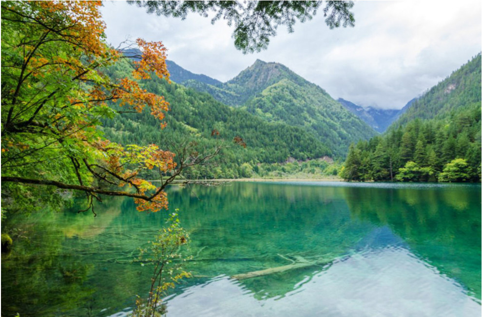 鏡海：海拔2367 米，長1155 米、寬241 米、深31 米，是九寨溝第三大湖泊，因水面平靜如鏡而得名。每當晨曦初現，藍天白雲、遠山飛鳥都盡收海底，清晰可見，倒影勝實景。