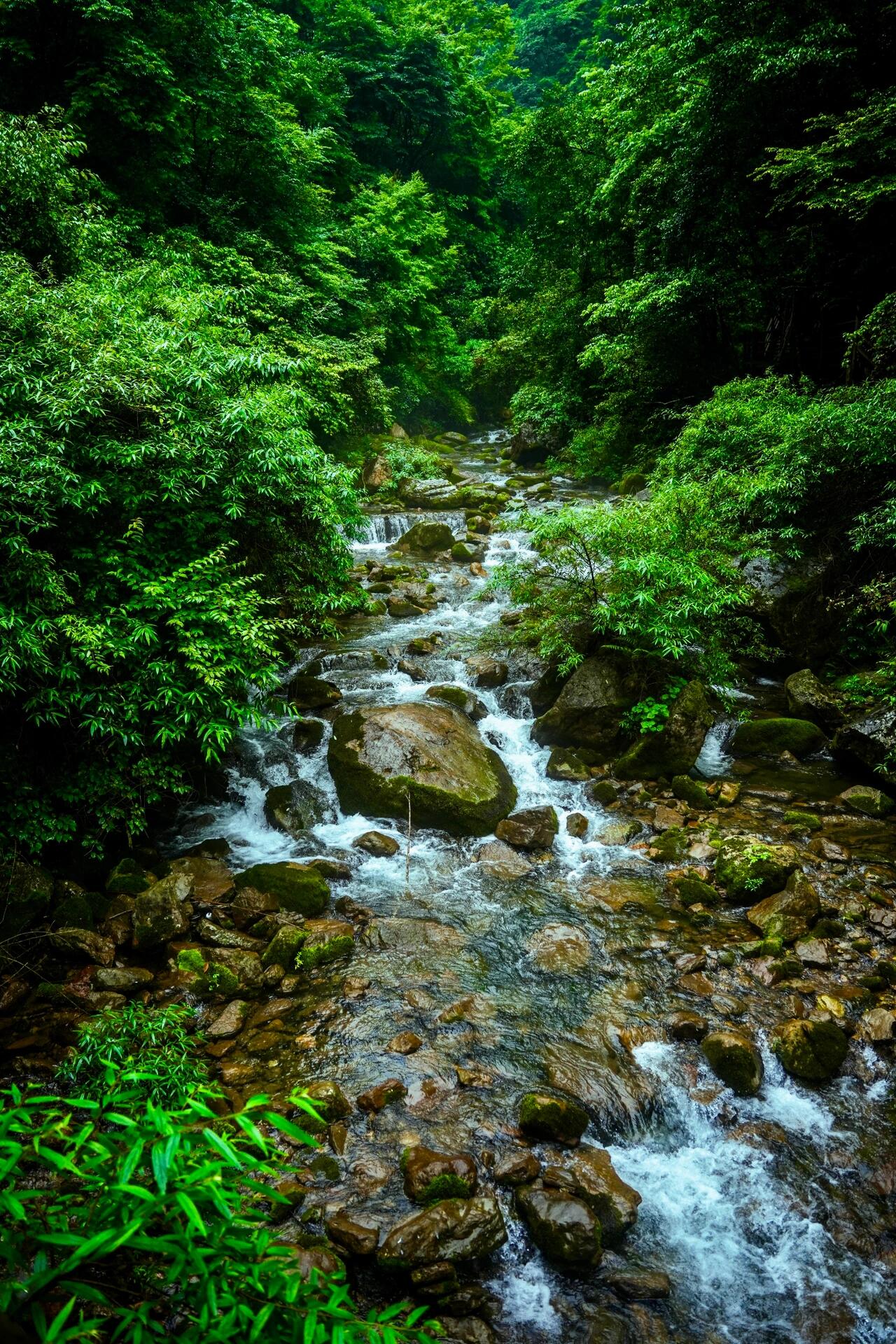 湖南張家界大峽谷/玻璃橋純玩小團一日遊（張家界往返+大峽谷風景區+玻璃橋+雲天渡+“小九寨溝”+自然的奇幻畫卷+人間仙境本境）
