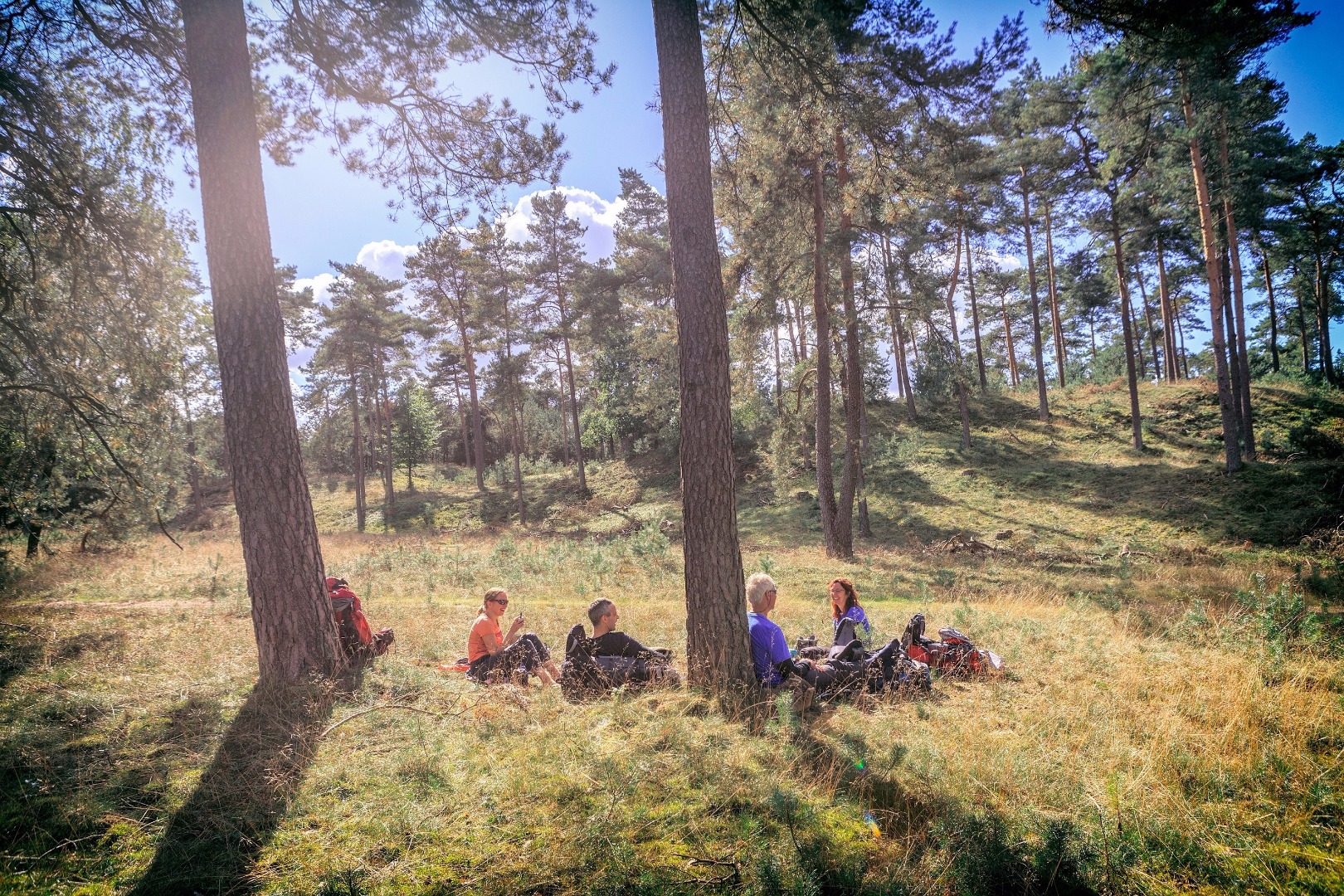 Small Group Tour to Kröller-Müller Museum and Hoge Veluwe National Park from Amsterdam