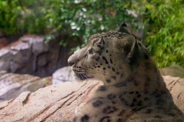 中央公園動物園 & 30+景點步行遊