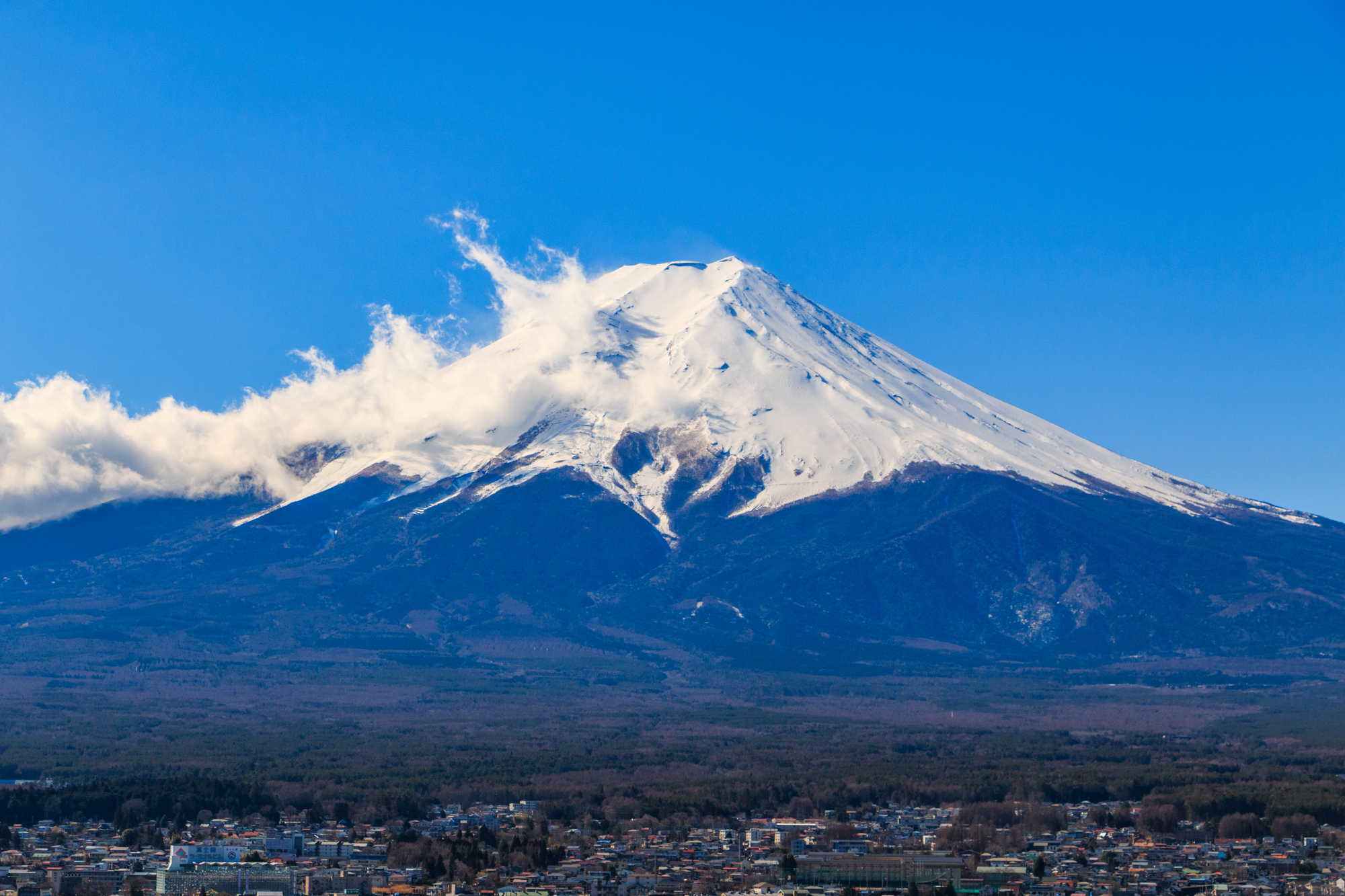 富士山一日遊: 新倉山淺間公園 & 忍野八海 & 西湖溫柔之鄉根場 (東京出發)