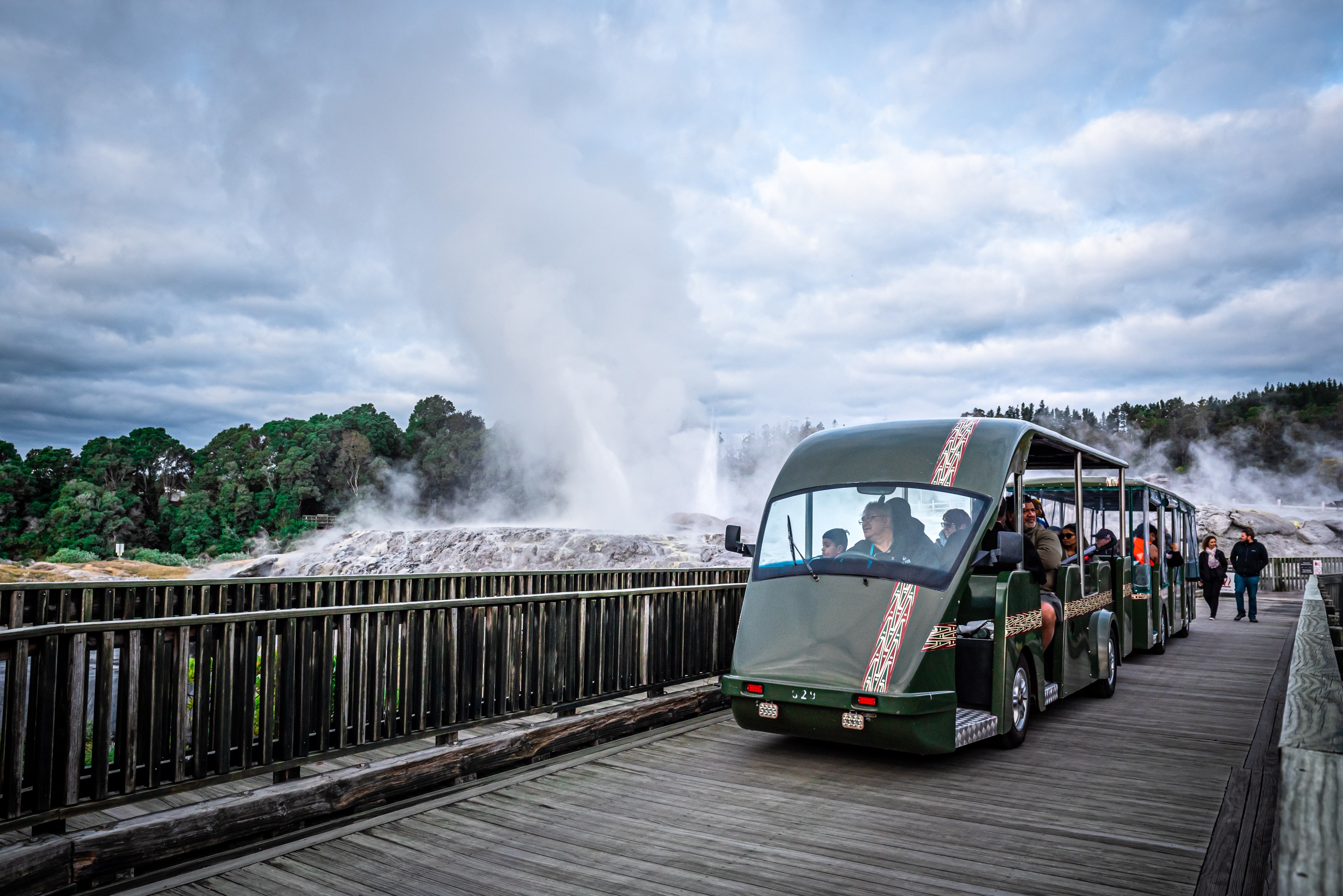 Te Puia & Polynesian Spa Rotorua From Auckland