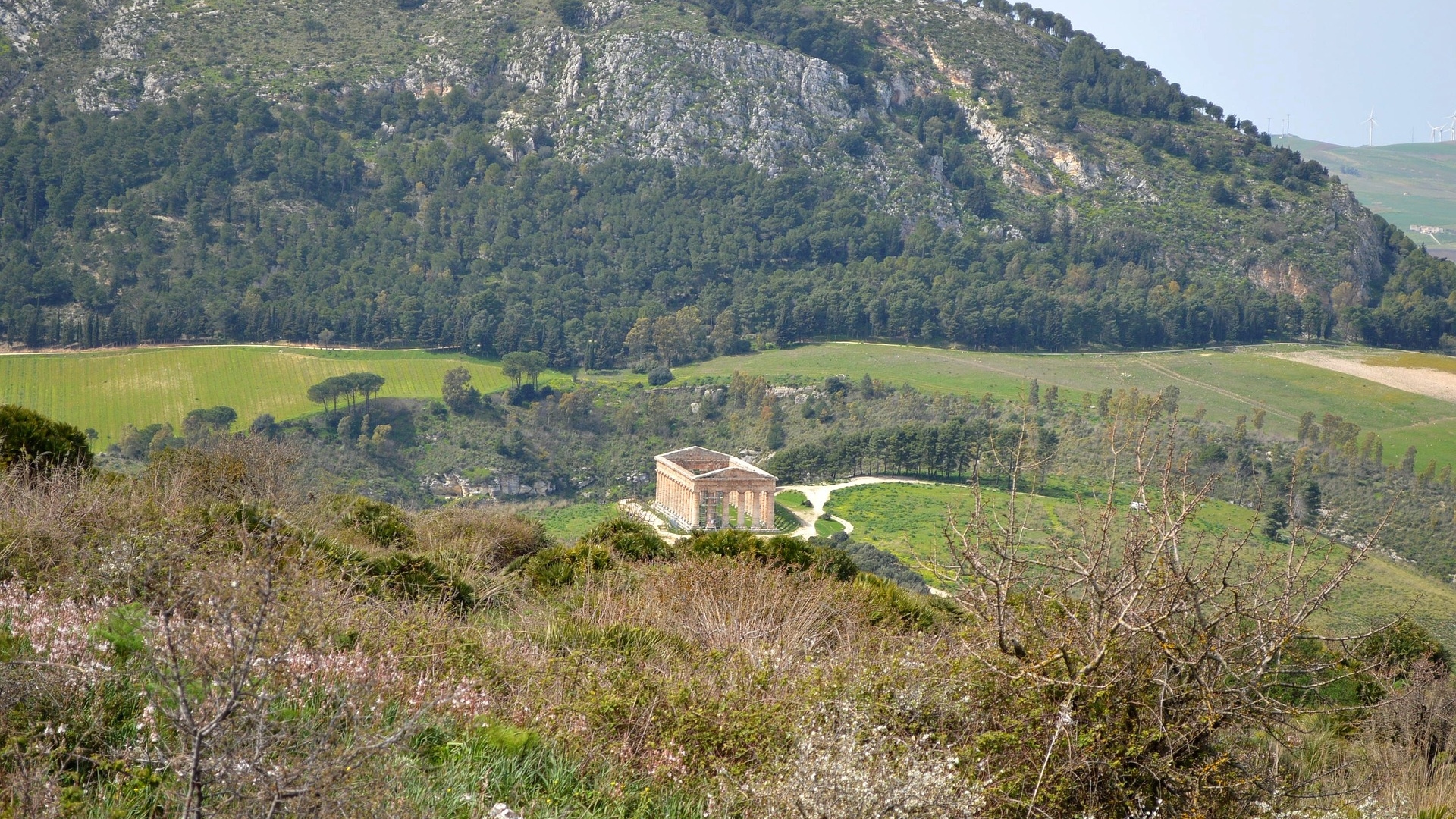 Image 3