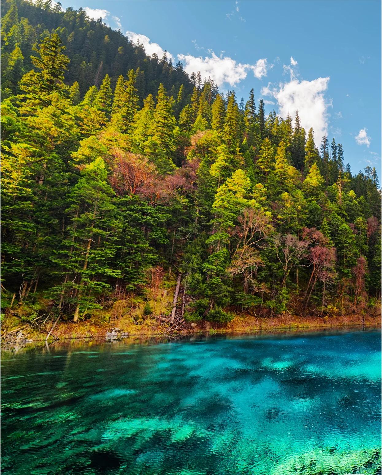 Chengdu Jiuzhaigou/Huanglong Scenic Area/Zuoergai Grassland Western Sichuan Multi-day Chartered Tour