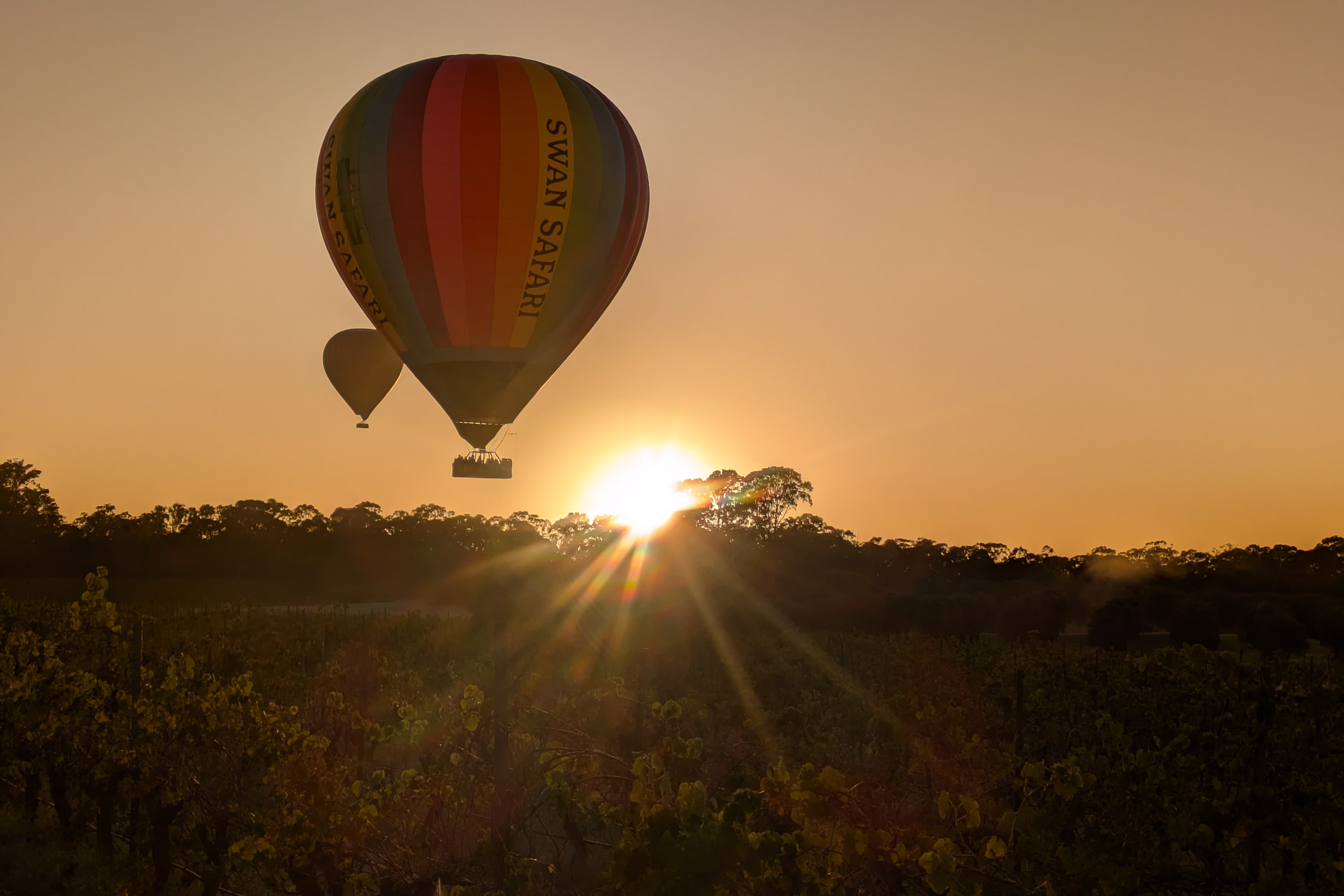 Hot Air Balloon Flight Experience in Hunter Valley