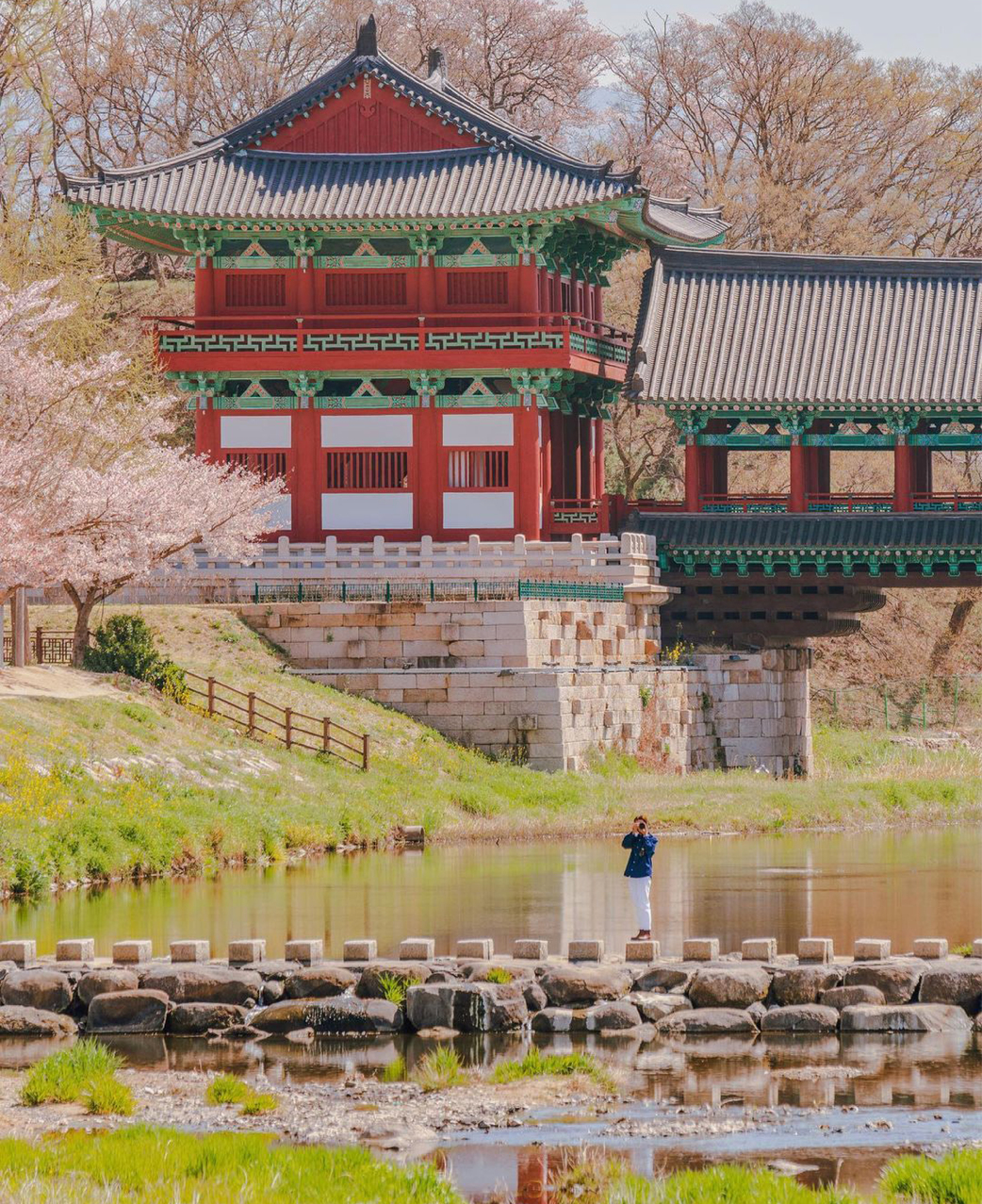 釜山 & 慶州一日遊（釜山出發）