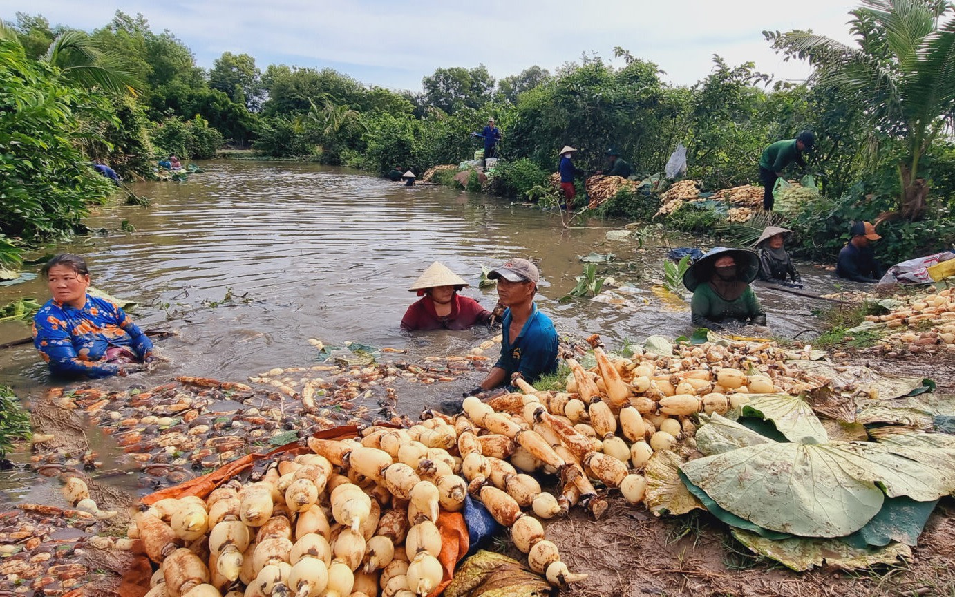 Chau Doc City & Countryside Cultural Tour by Xe Loi (Traditional Bicycle Rickshaw)
